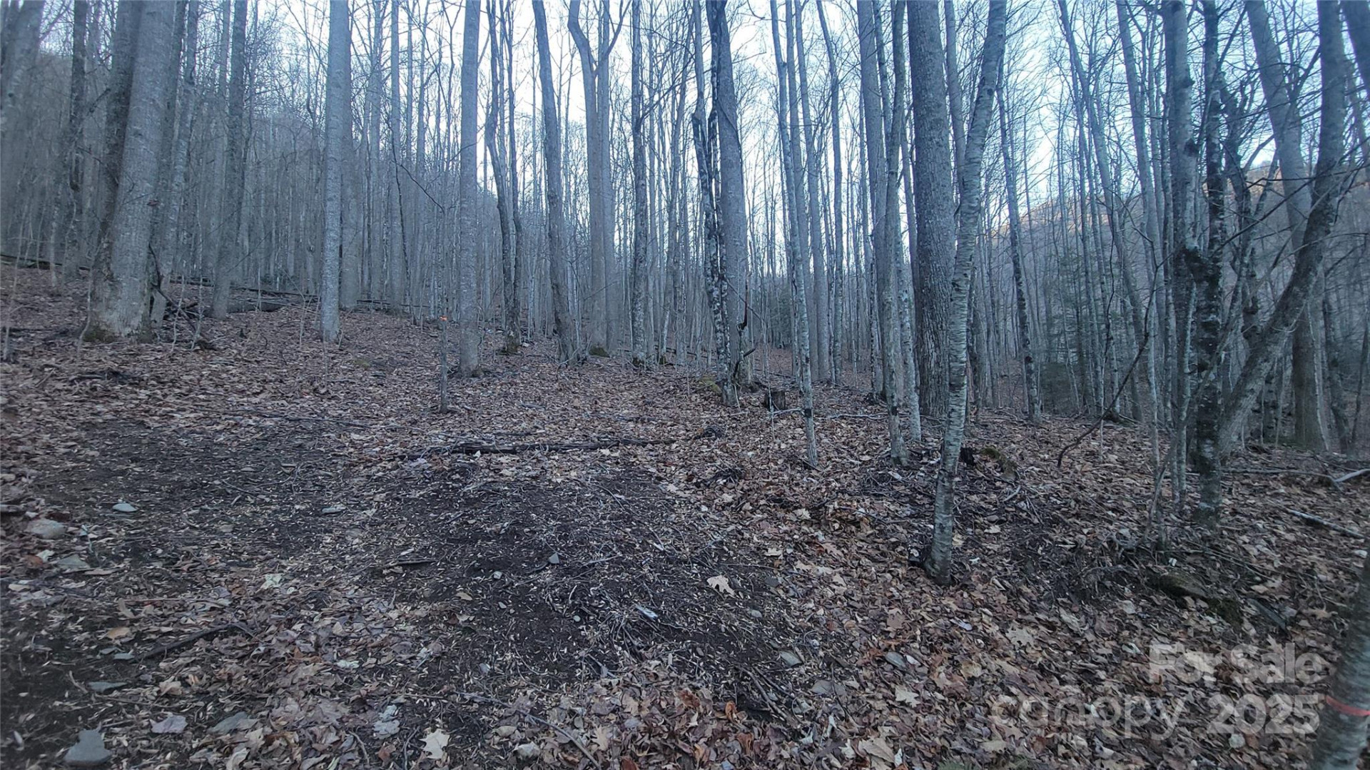 Lot 7B Hickory Springs Road #7B - Photo 3