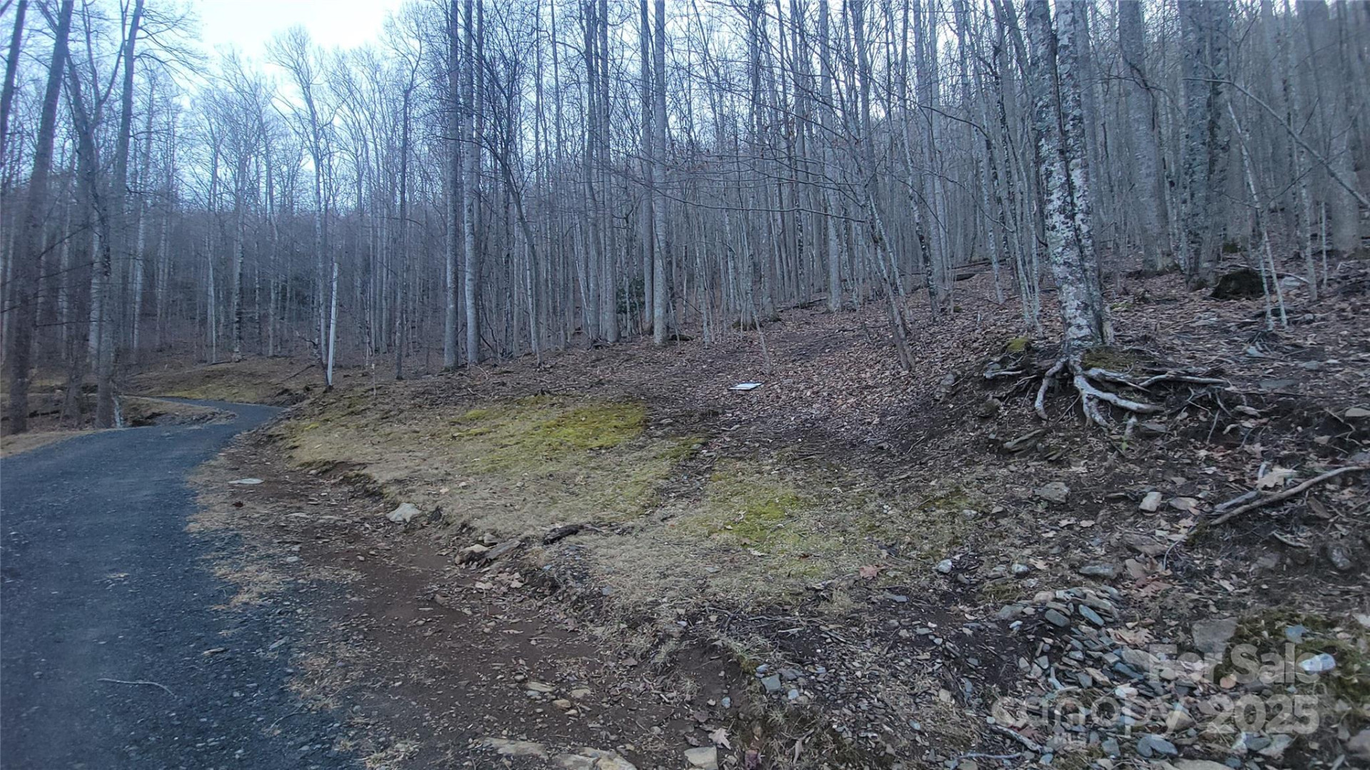 Lot 7B Hickory Springs Road #7B - Photo 4