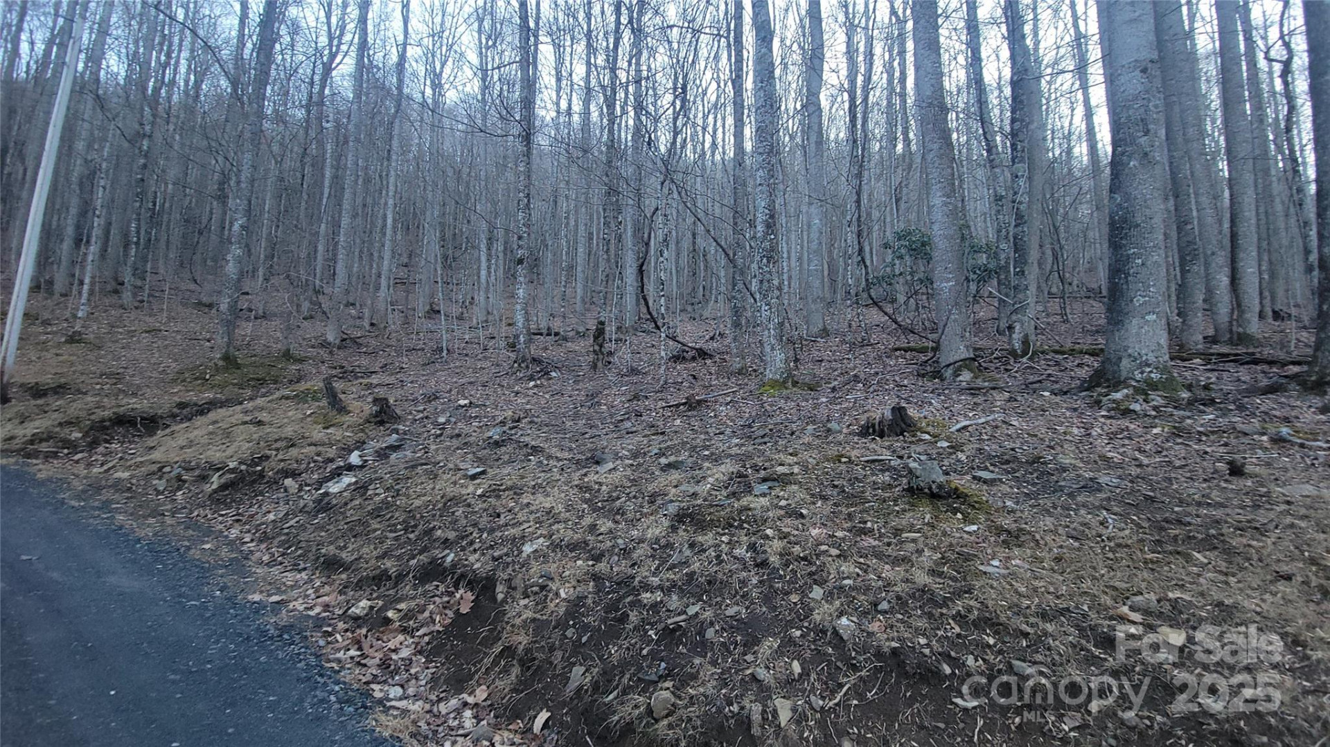 Lot 7B Hickory Springs Road #7B - Photo 5