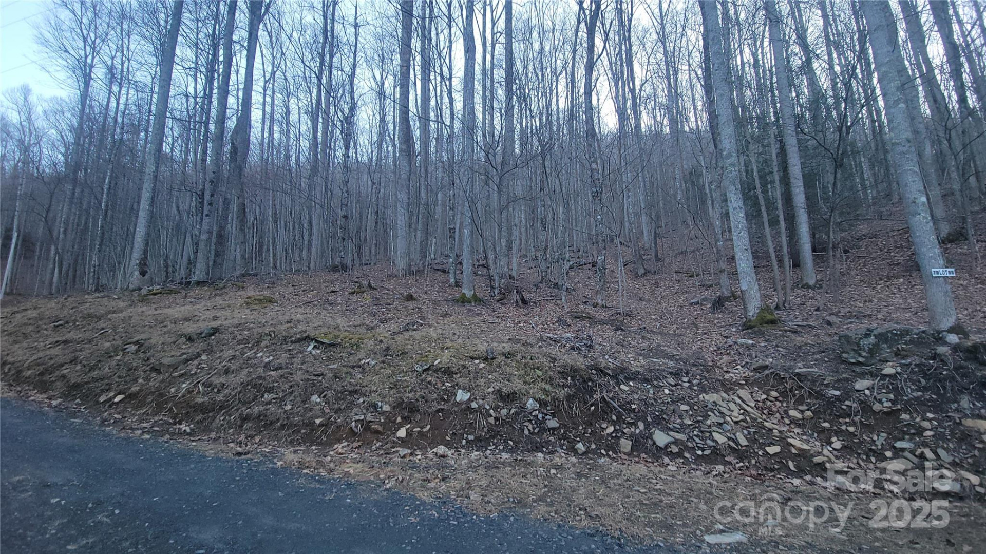 Lot 7B Hickory Springs Road #7B - Photo 6