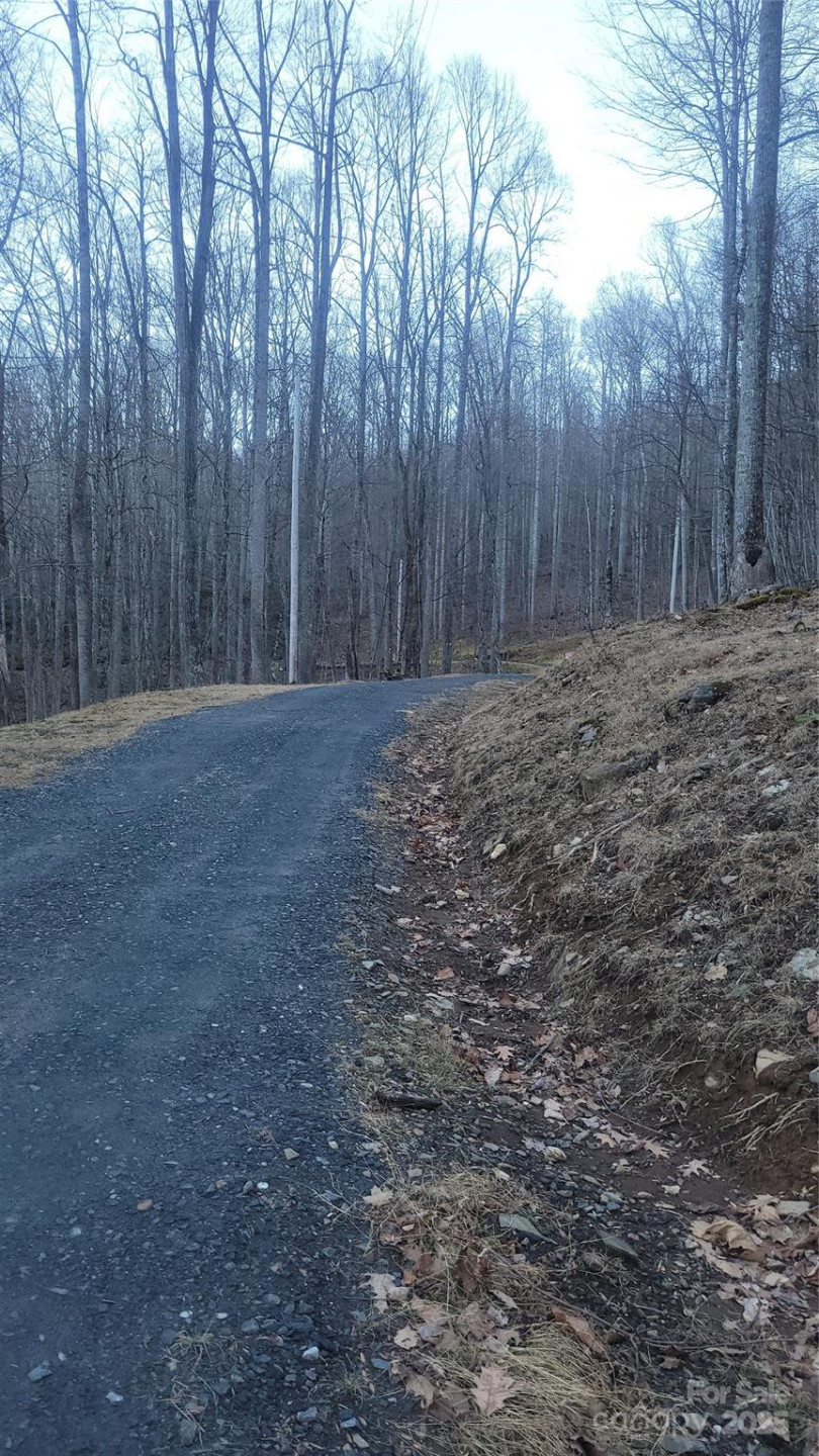 Lot 7B Hickory Springs Road #7B - Photo 8