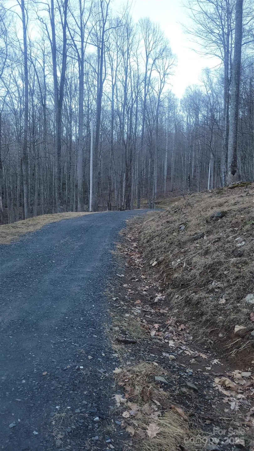 Lot 7B Hickory Springs Road #7B - Photo 8