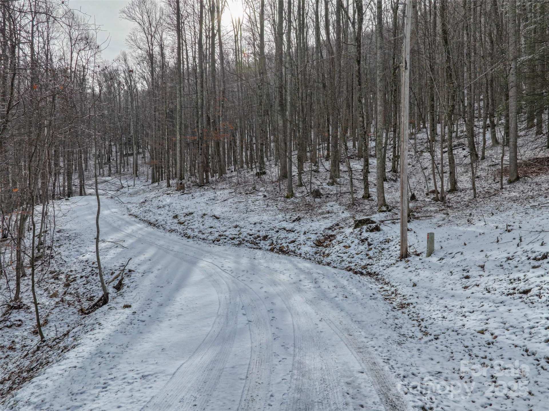 Lot 7B Hickory Springs Road #7B - Photo 9