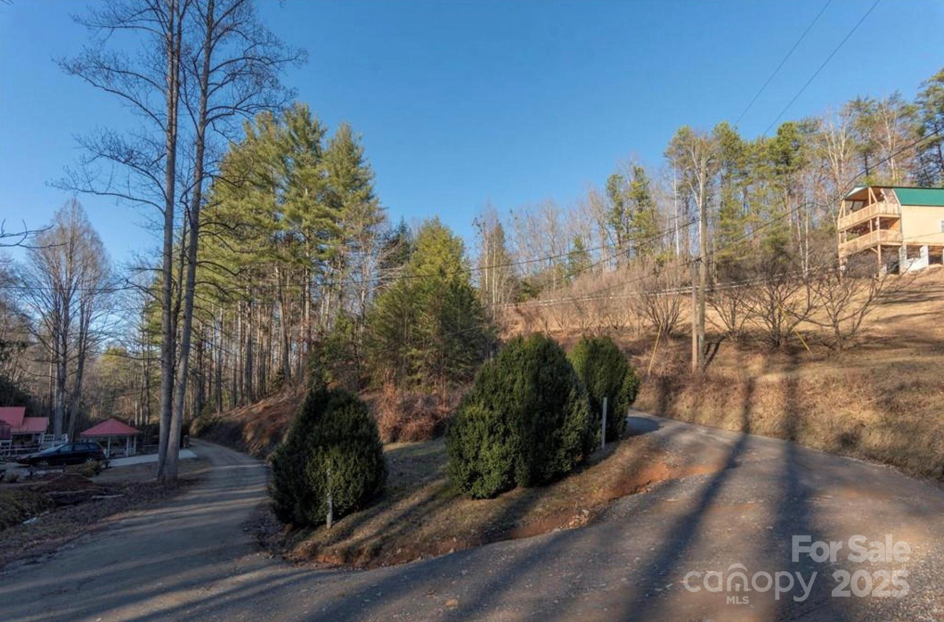 00 Cougar Lane - Photo 3