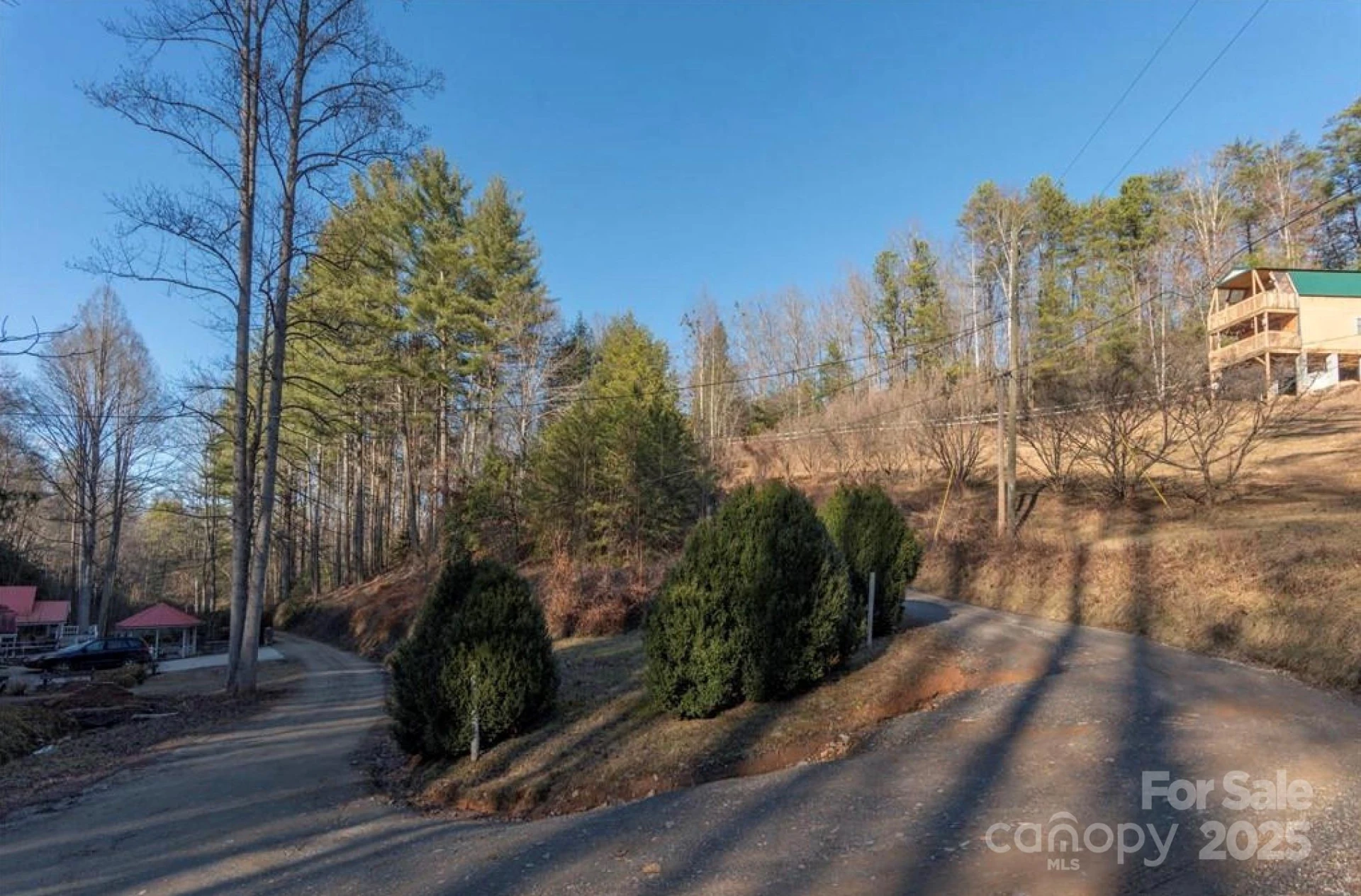 00 Cougar Lane - Photo 3