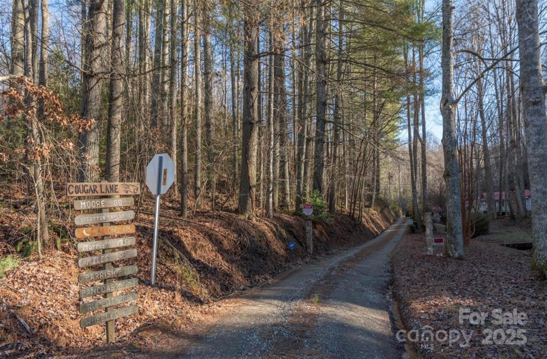 00 Cougar Lane - Photo 5