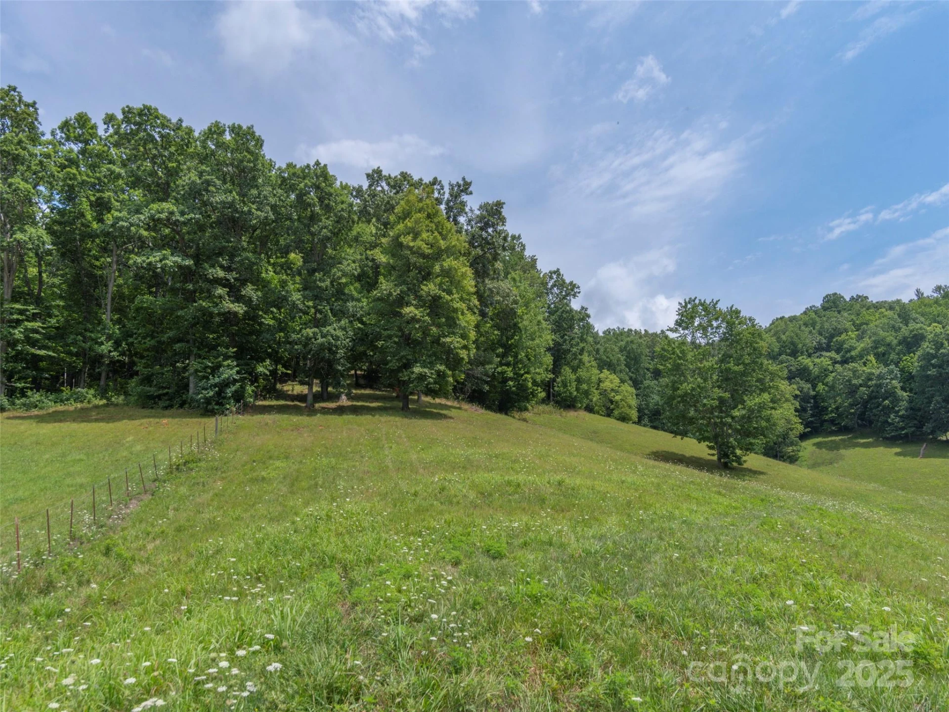 00 Bark Trail - Photo 11