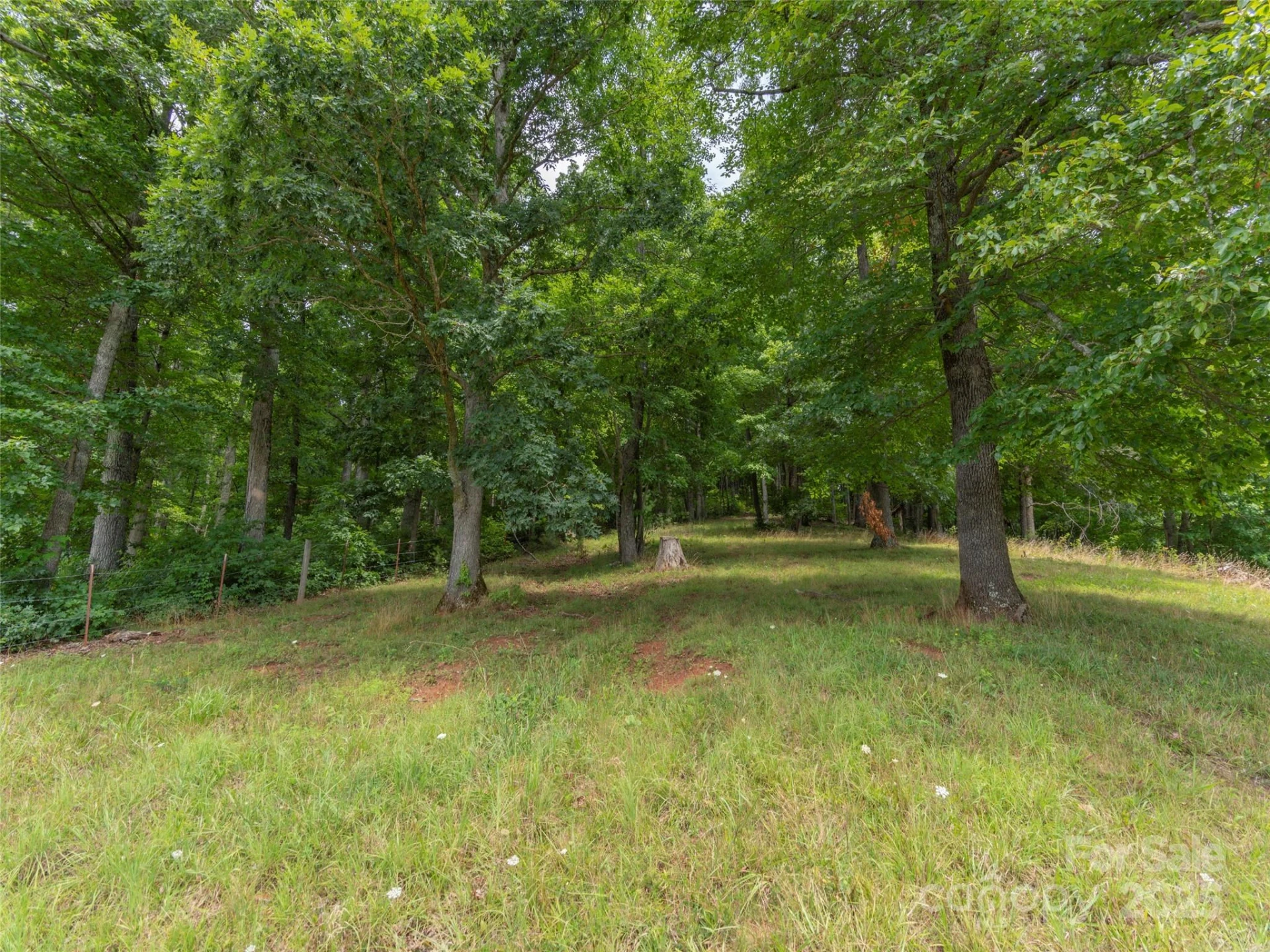 00 Bark Trail - Photo 14