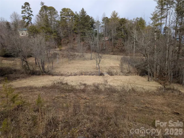 36 Country Cove Court, Leicester, NC, 28748