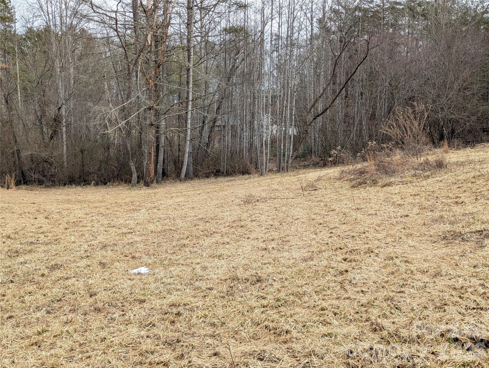 36 Country Cove Court #6 - Photo 2