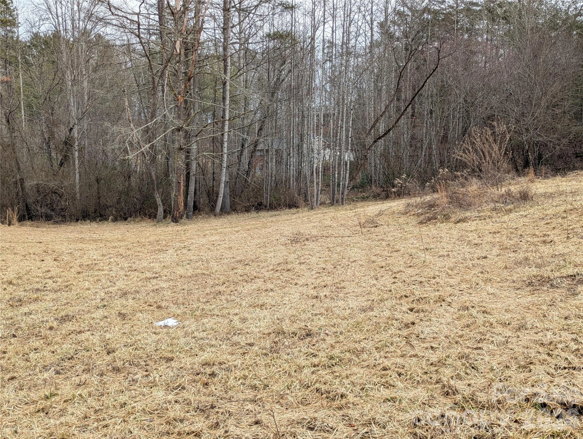 36 Country Cove Court #6 - Photo 2