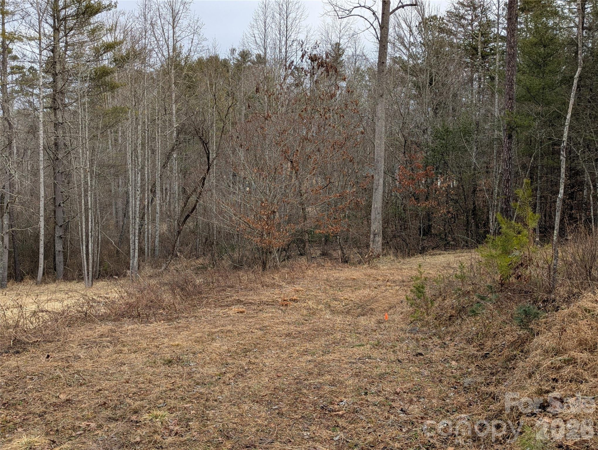 36 Country Cove Court #6 - Photo 3