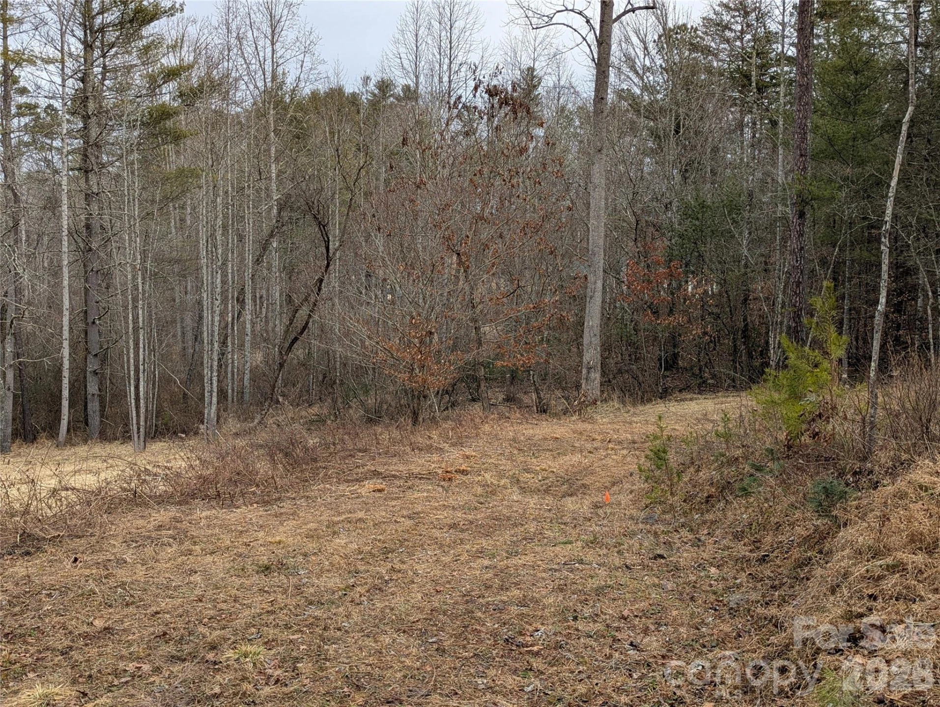 36 Country Cove Court #6 - Photo 3
