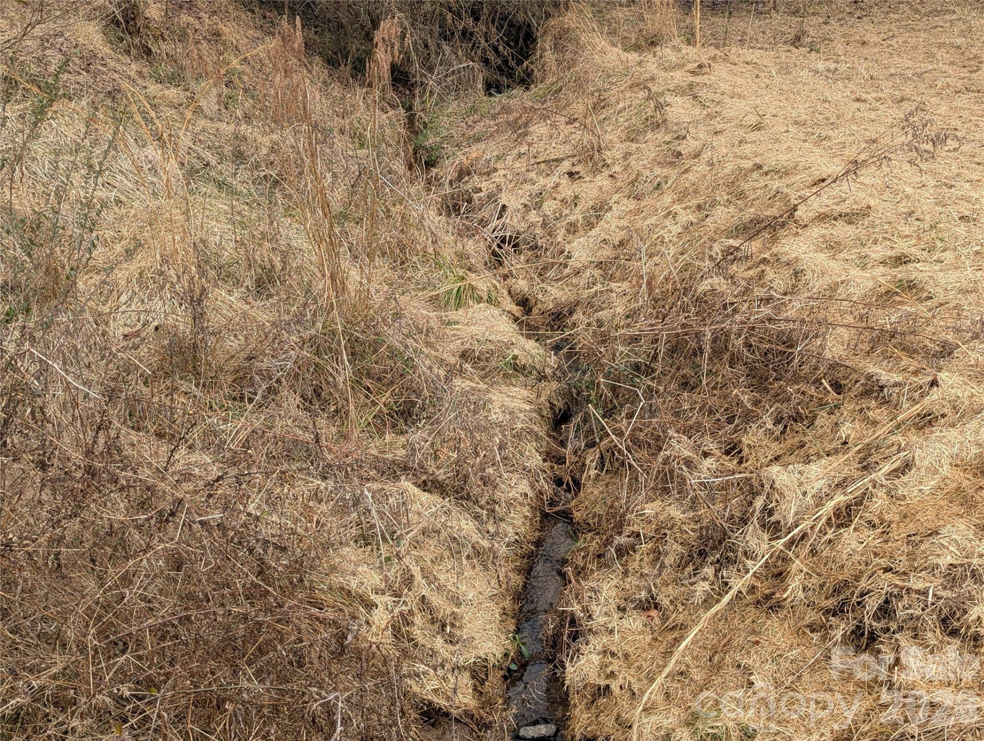 36 Country Cove Court #6 - Photo 4