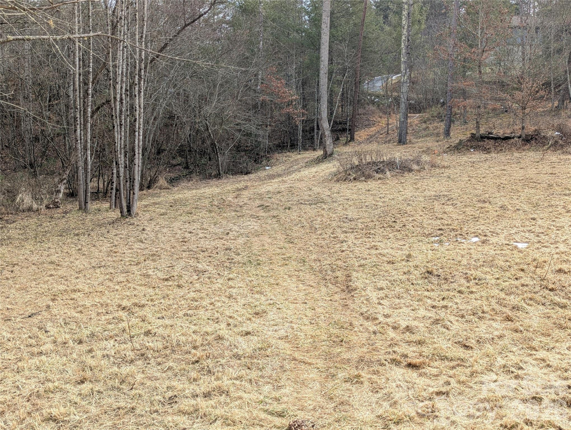 36 Country Cove Court #6 - Photo 5