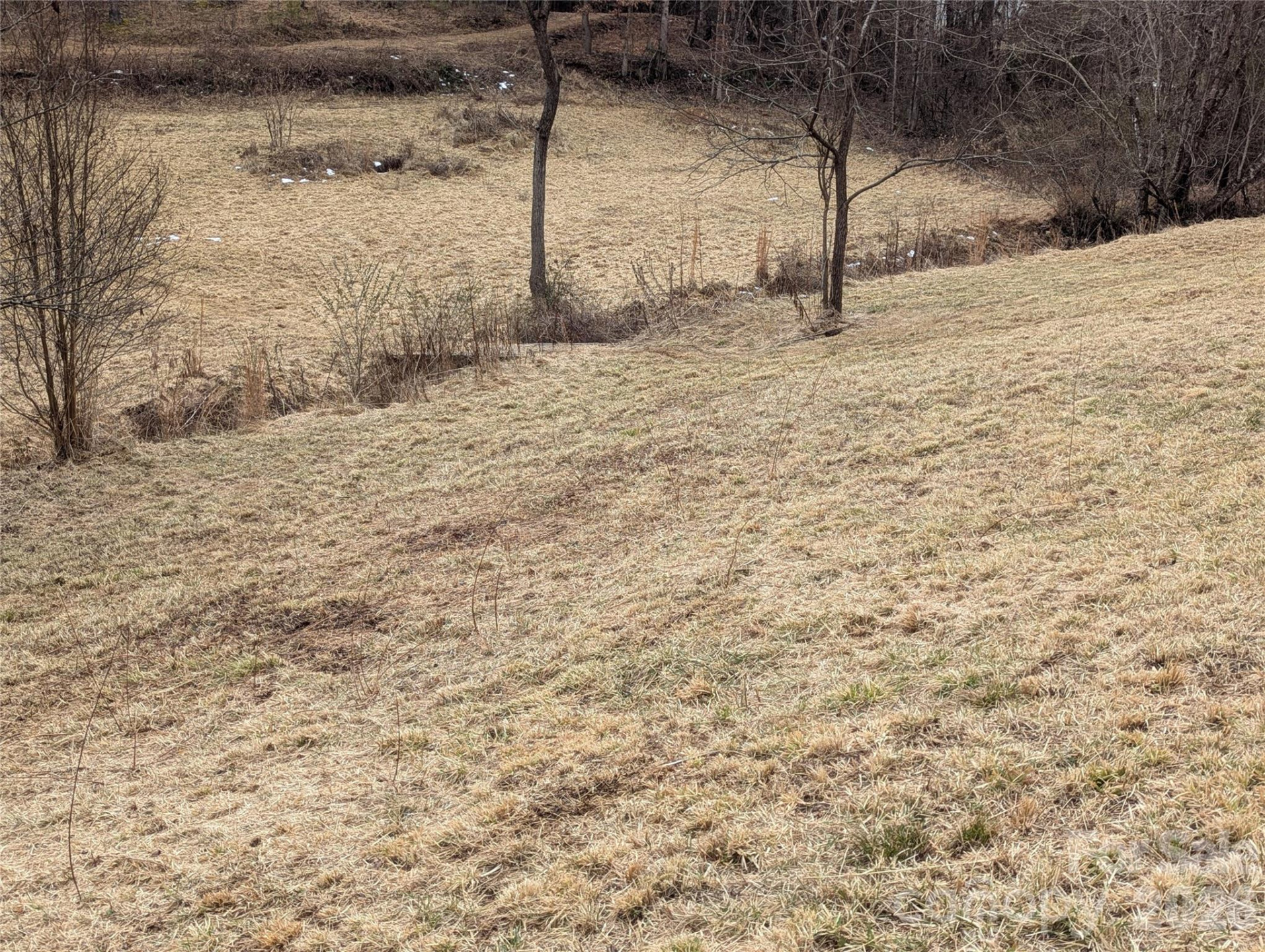 36 Country Cove Court #6 - Photo 6