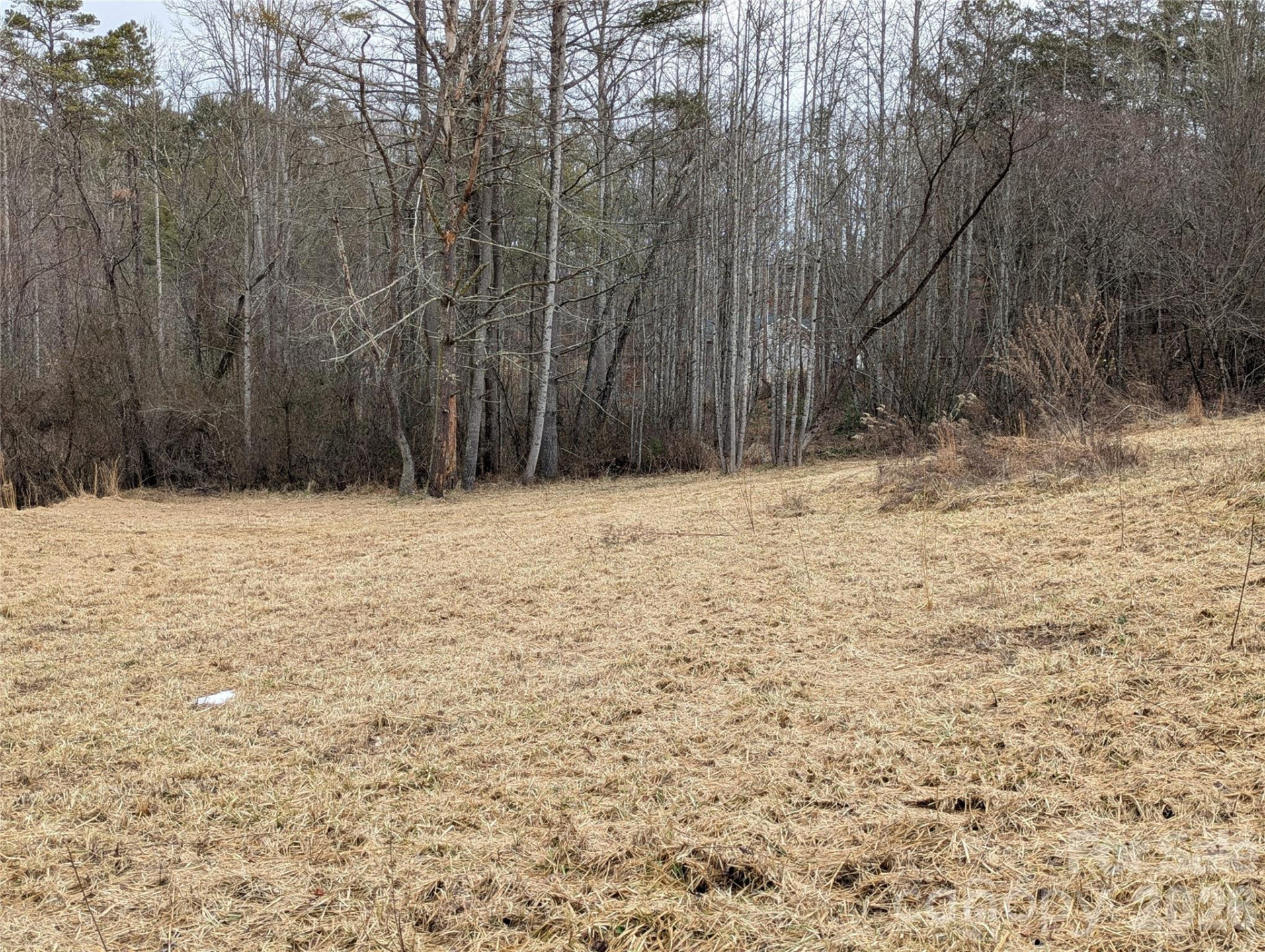 36 Country Cove Court #6 - Photo 7