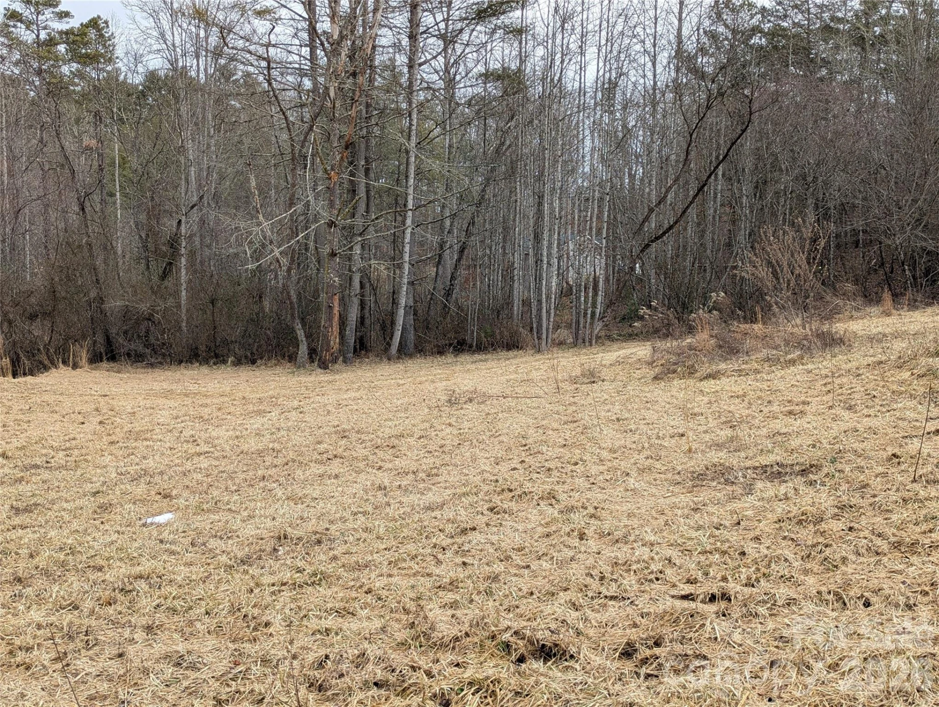 36 Country Cove Court #6 - Photo 7