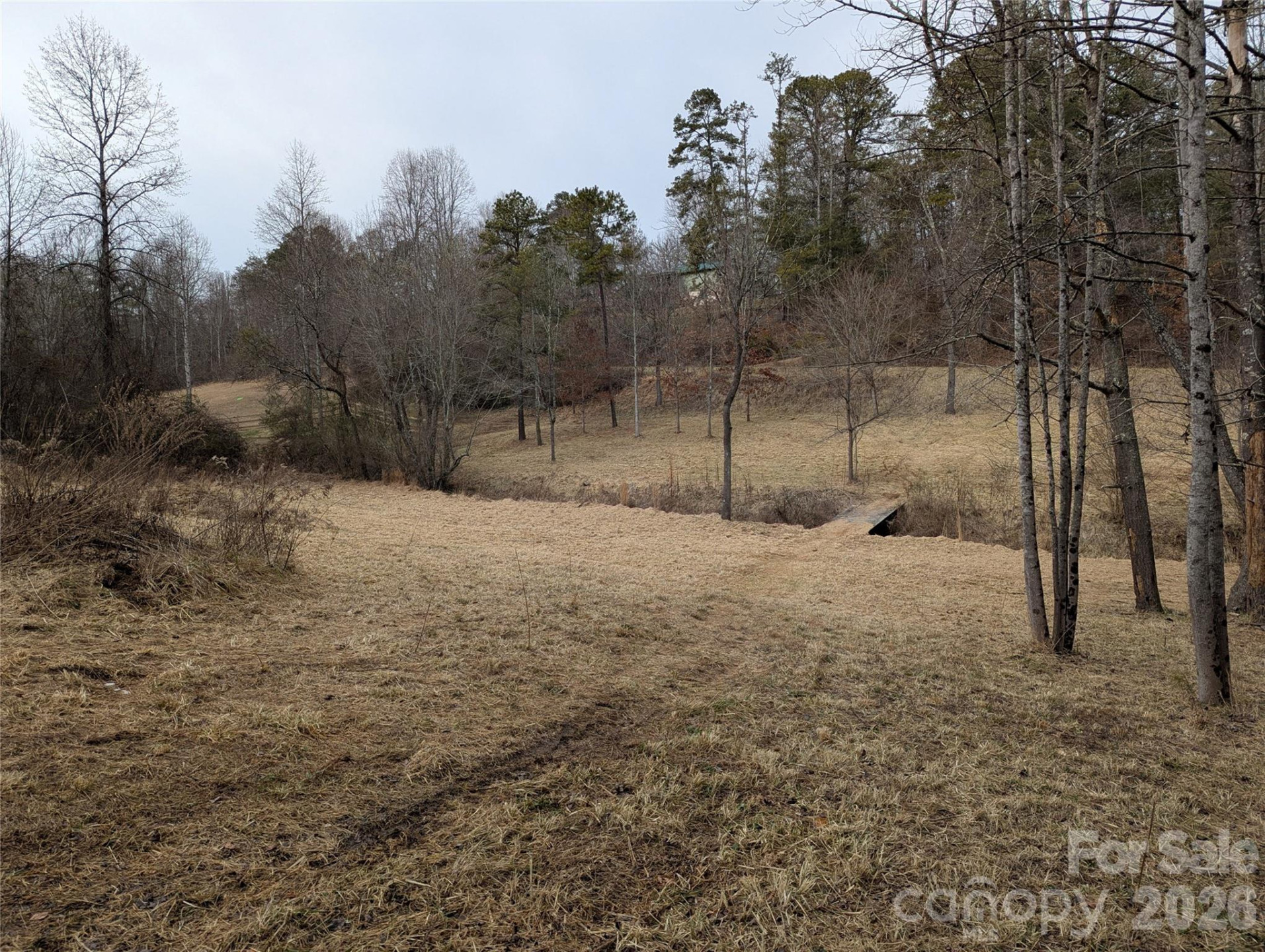 36 Country Cove Court #6 - Photo 8