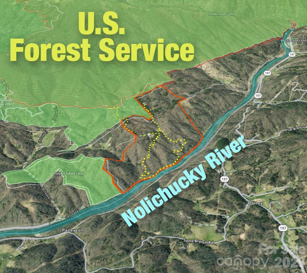 2736 White Oak Flats Road - Photo 3