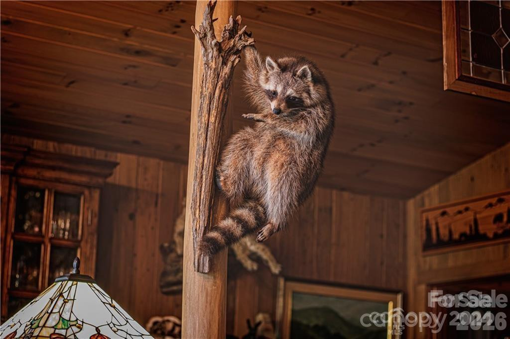 2736 White Oak Flats Road - Photo 25