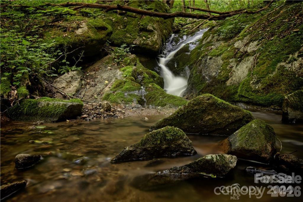 2736 White Oak Flats Road - Photo 33