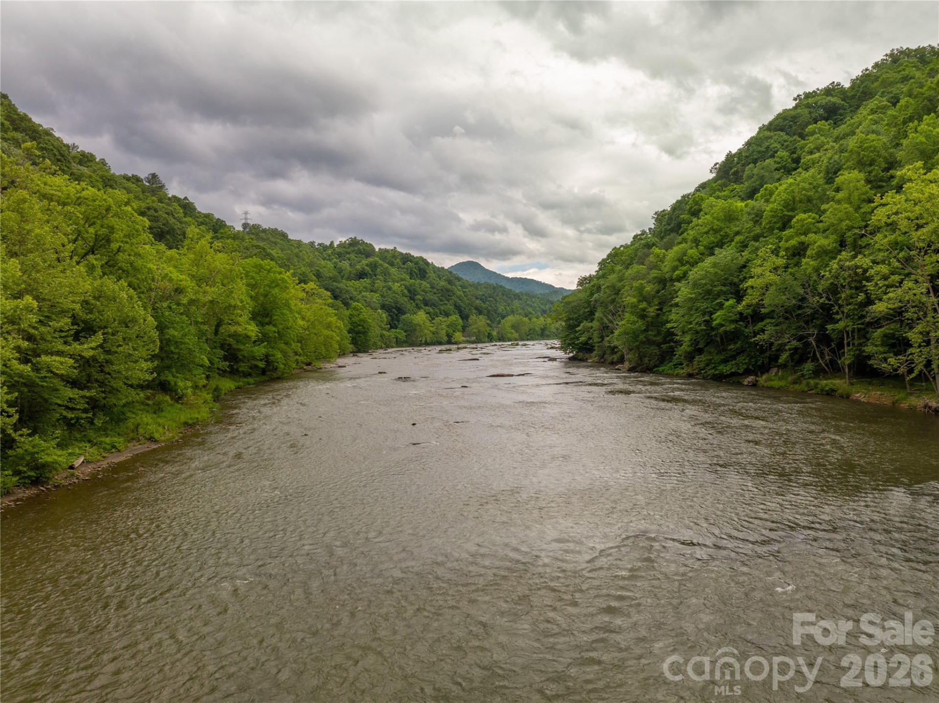 2736 White Oak Flats Road - Photo 6