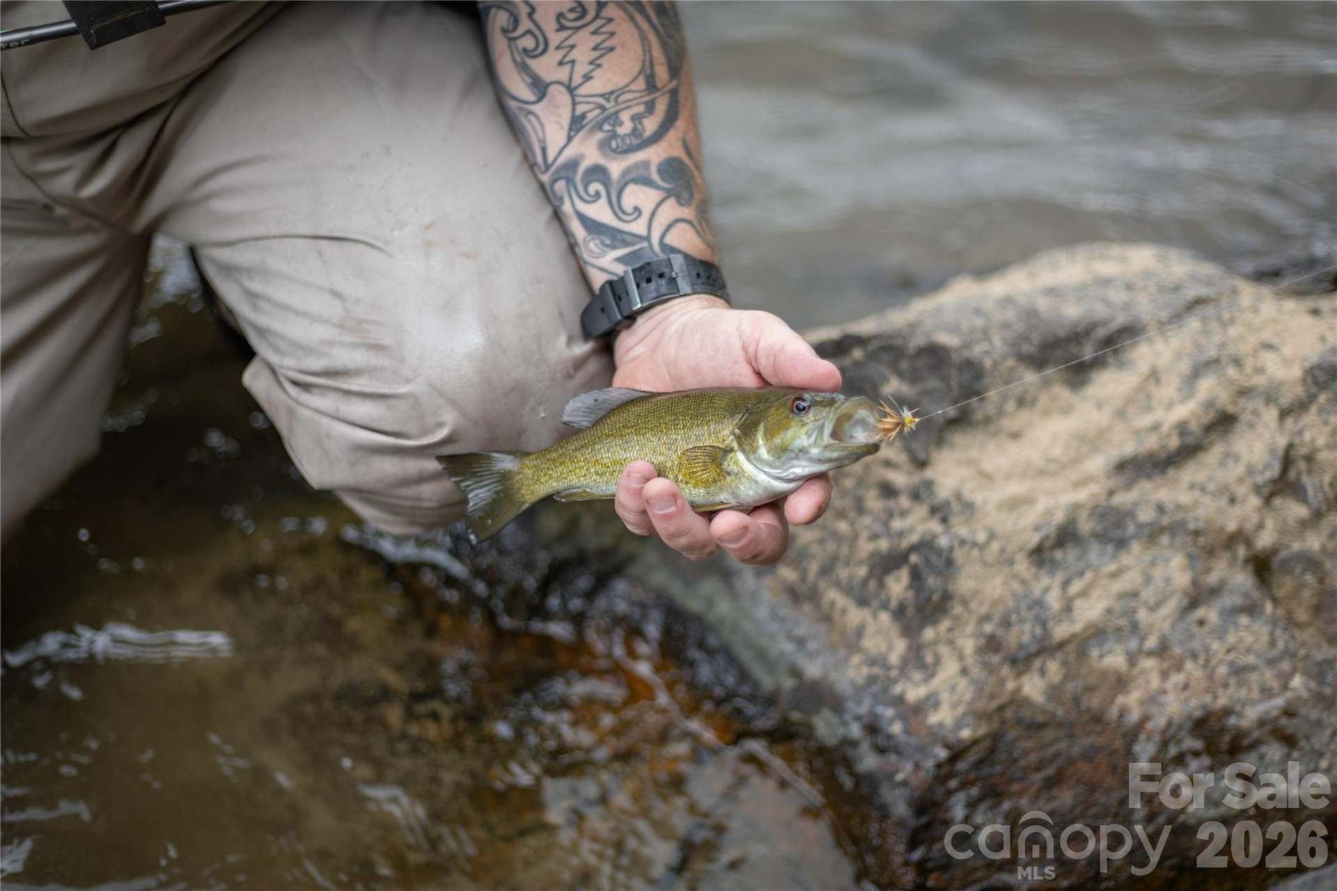 2736 White Oak Flats Road - Photo 8