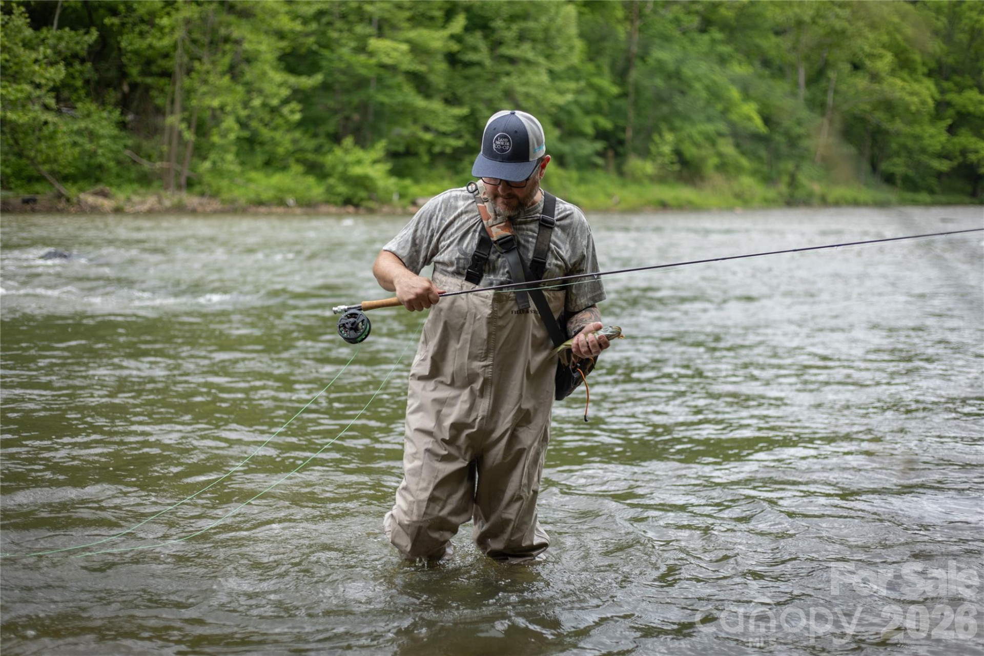 2736 White Oak Flats Road - Photo 9