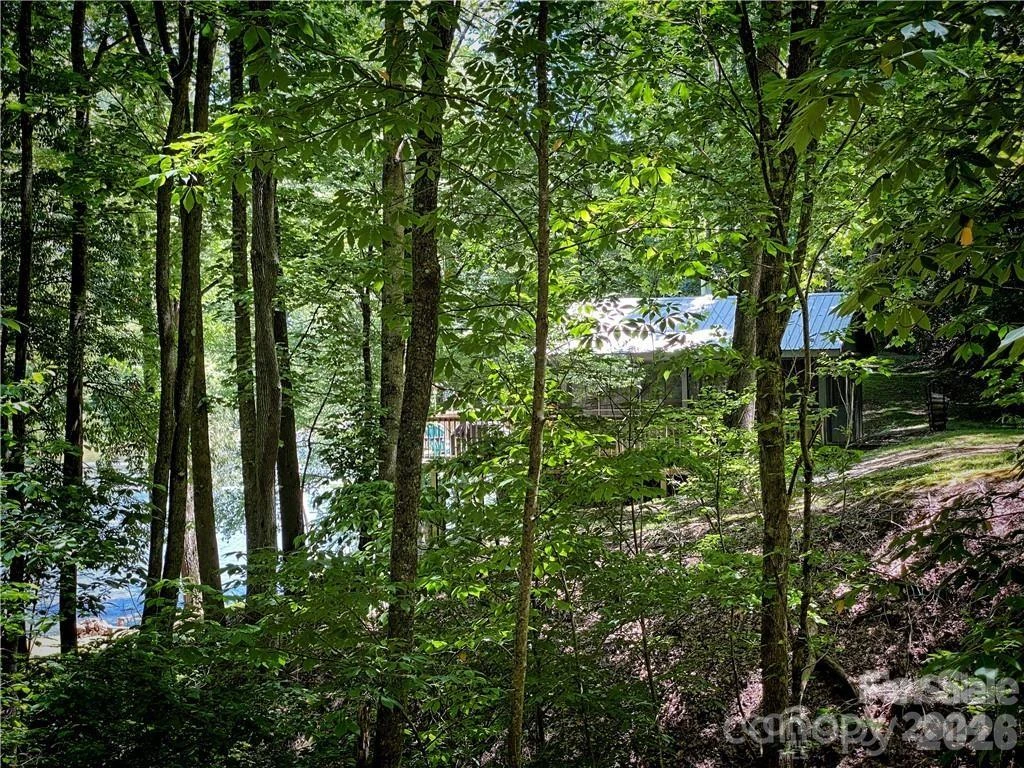 2736 White Oak Flats Road - Photo 30