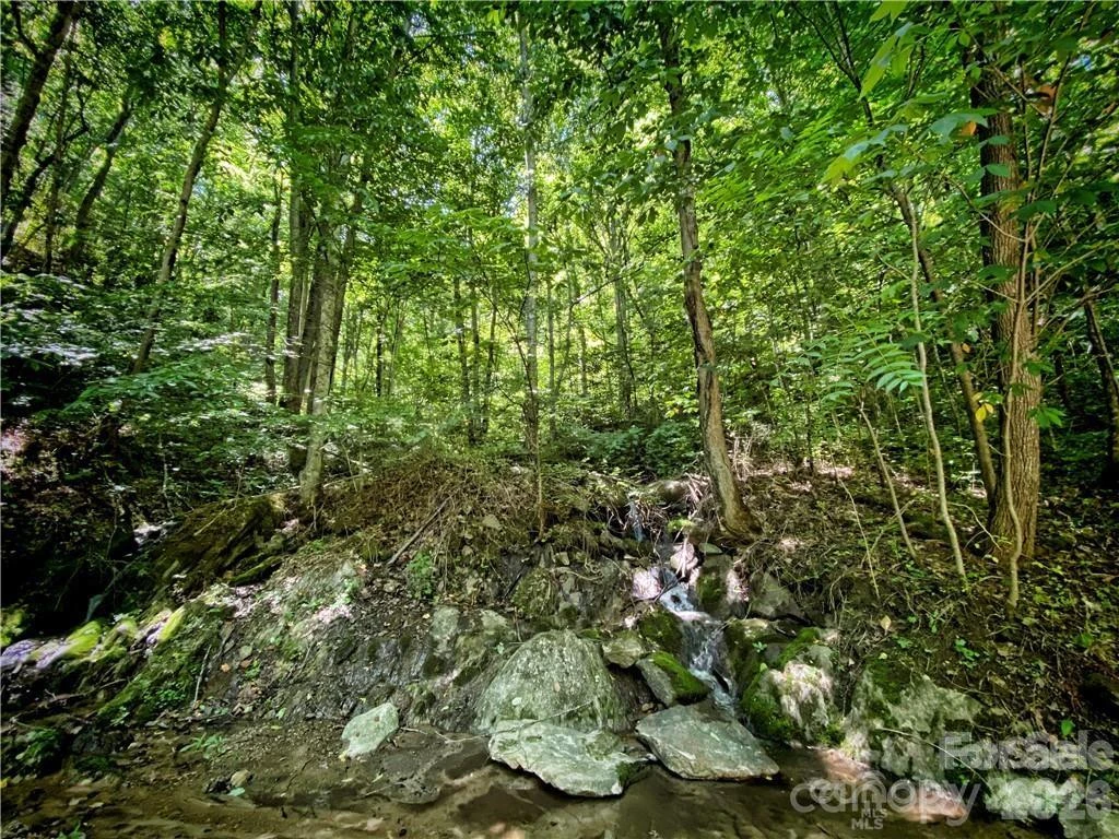 2736 White Oak Flats Road - Photo 31