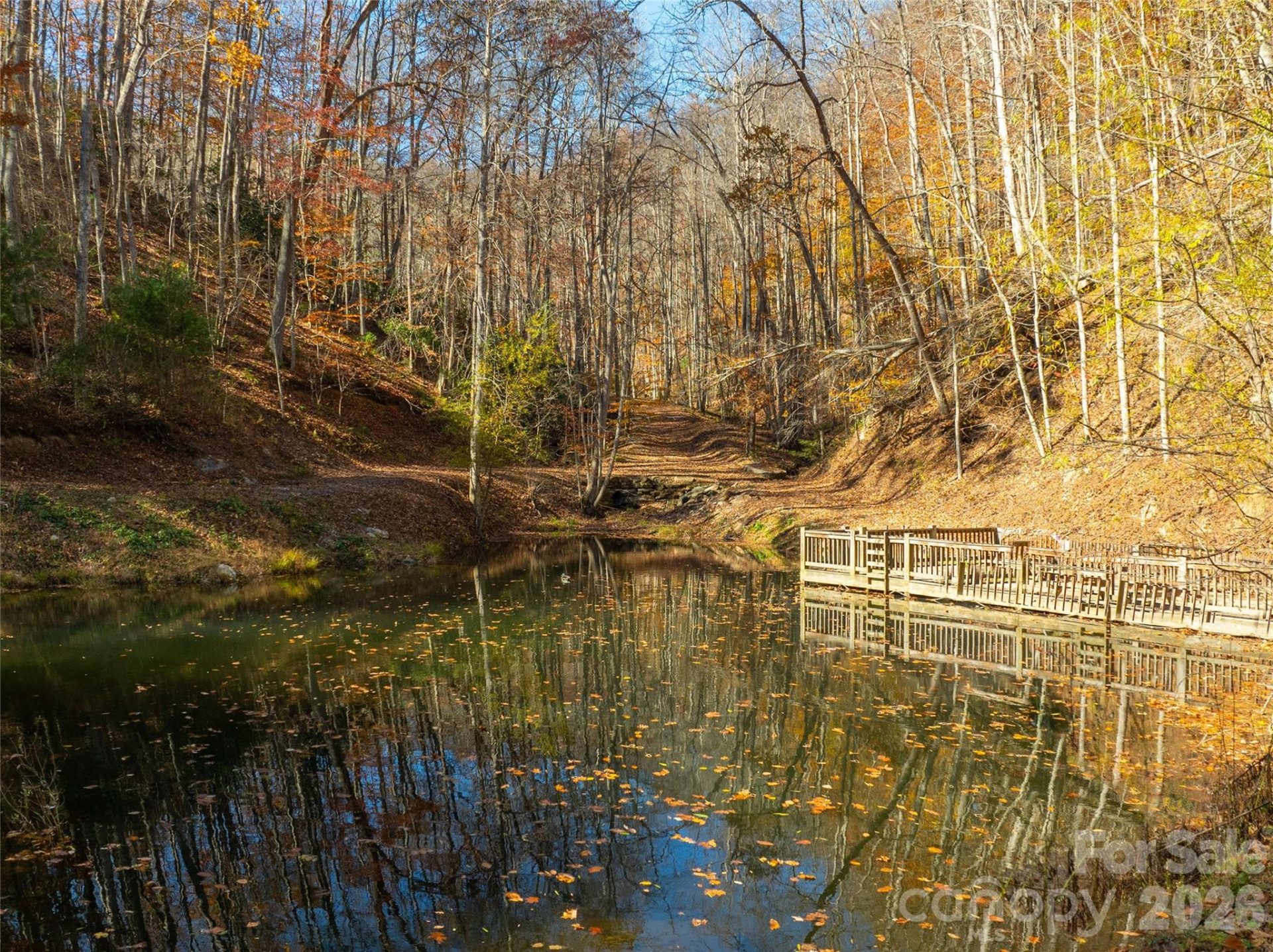 2736 White Oak Flats Road - Photo 6