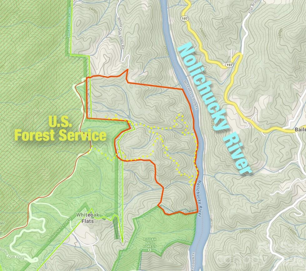 2736 White Oak Flats Road - Photo 9