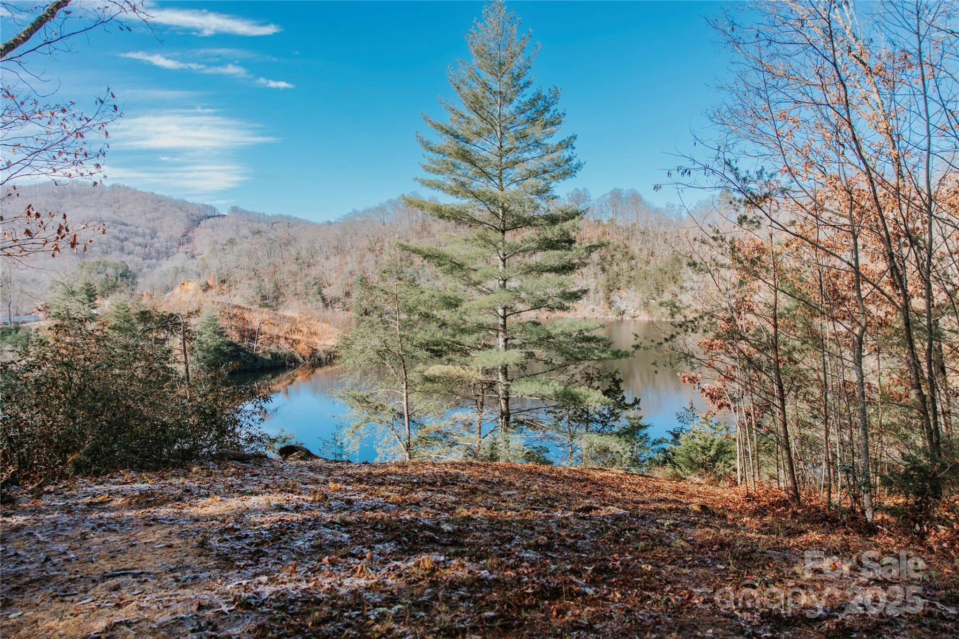 134 Dars Lane #7 - Photo 2