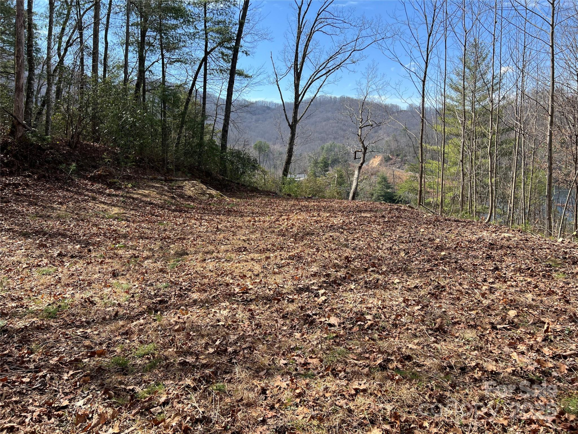 134 Dars Lane #7 - Photo 4