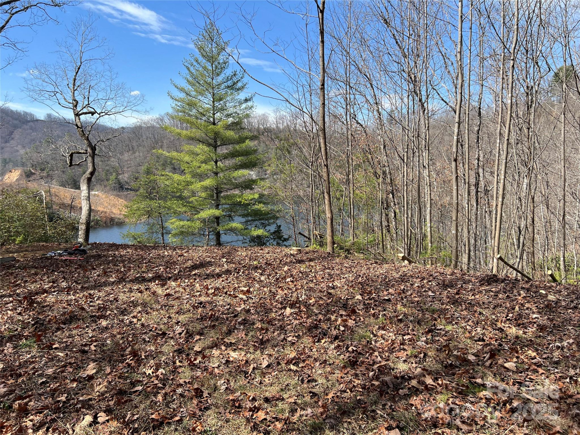 134 Dars Lane #7 - Photo 5