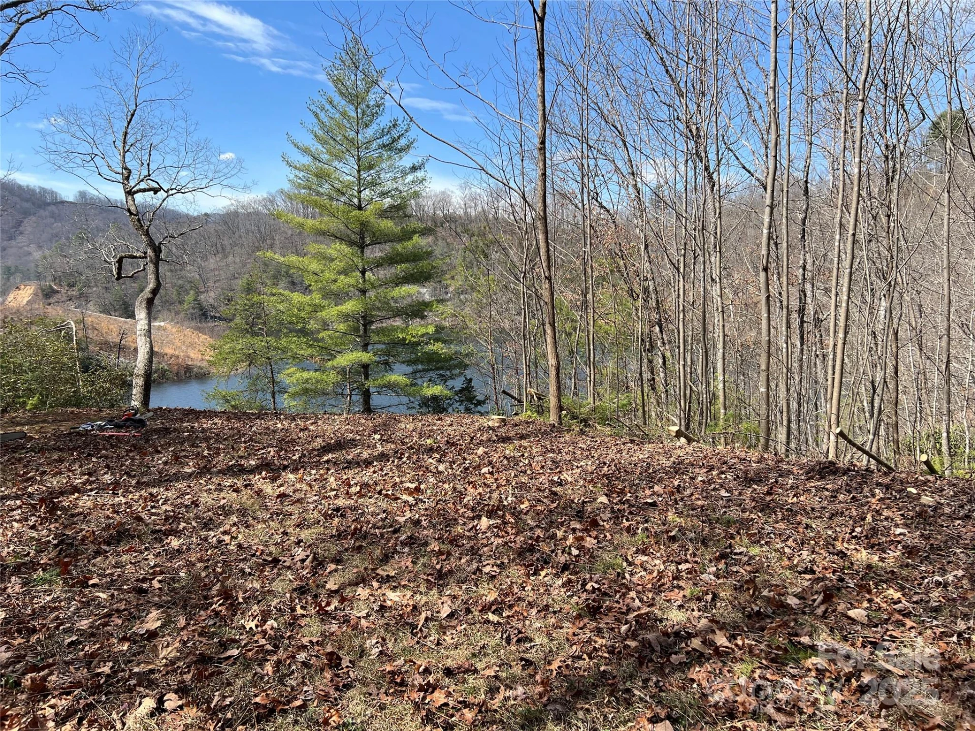 134 Dars Lane #7 - Photo 5