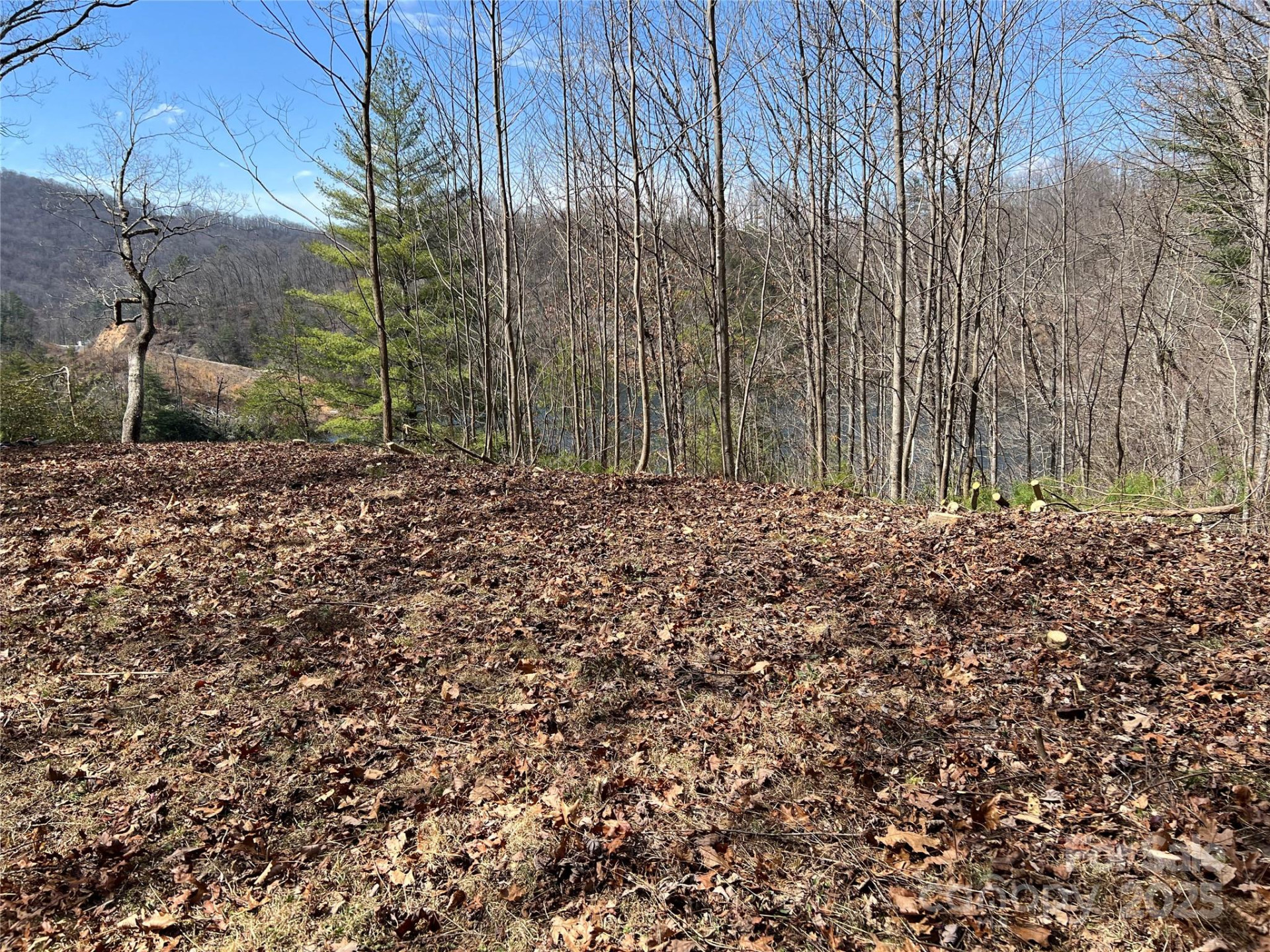 134 Dars Lane #7 - Photo 6