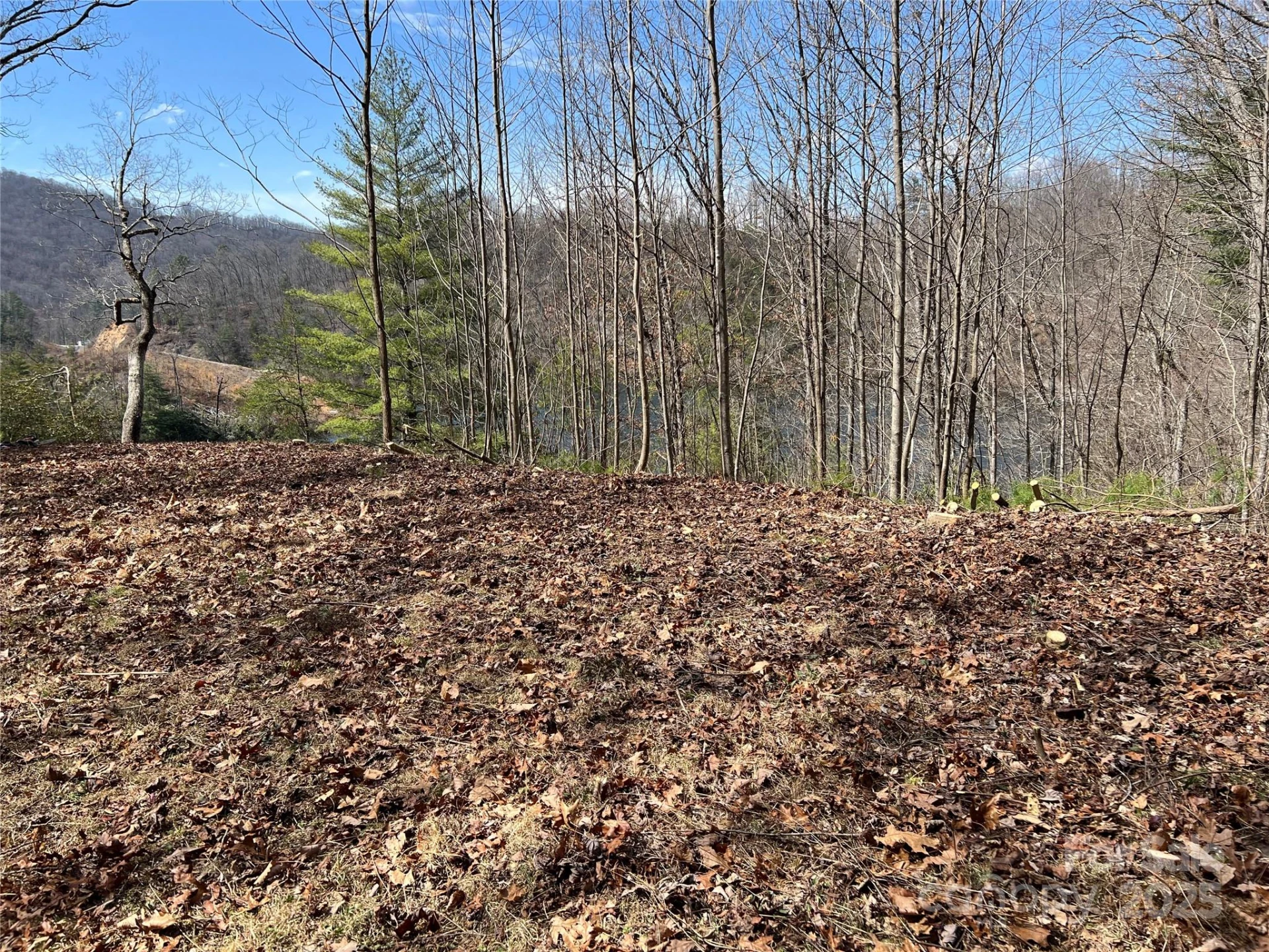 134 Dars Lane #7 - Photo 6