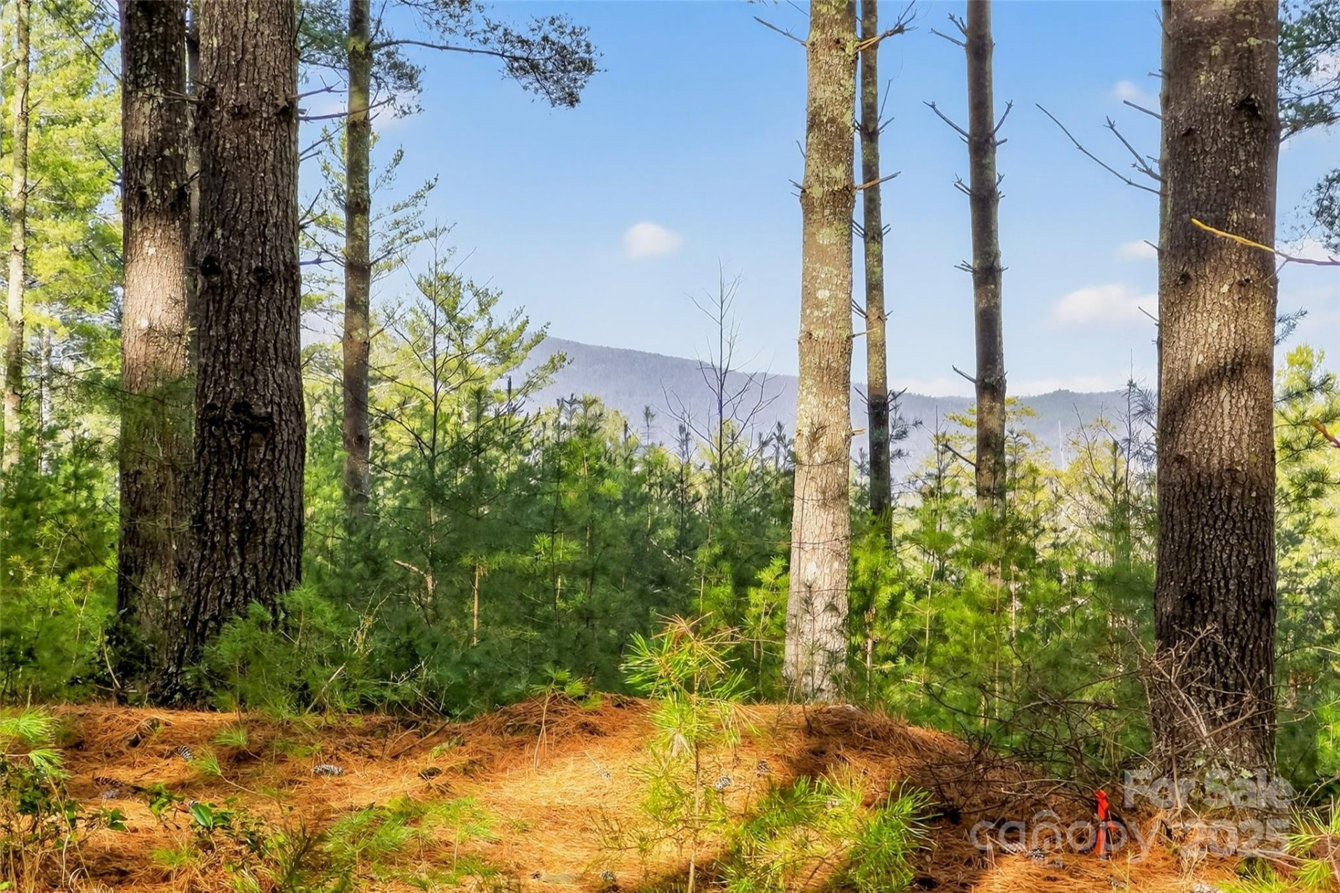 365 Peninsula Reserve Road #25 - Photo 2