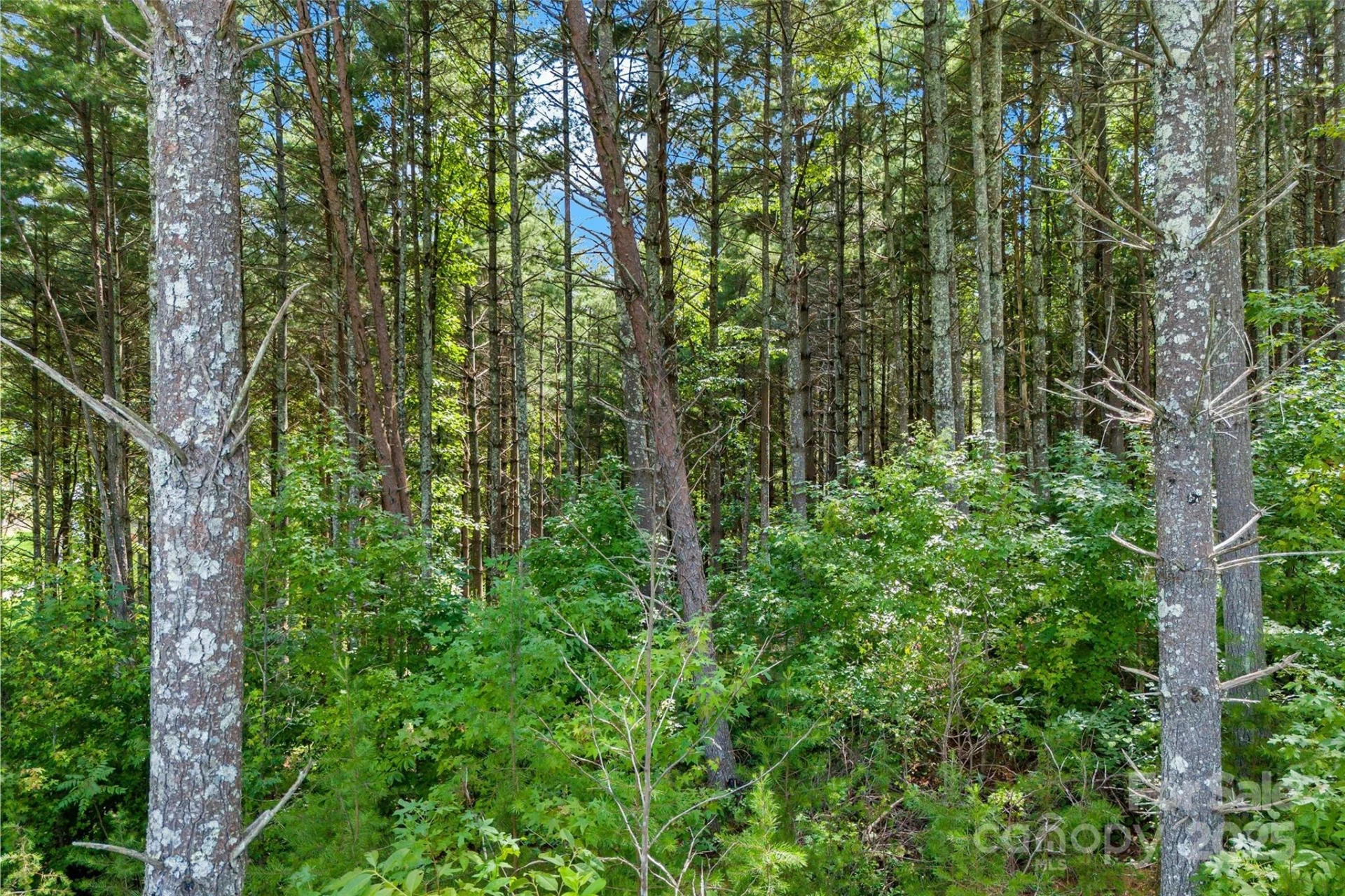 365 Peninsula Reserve Road #25 - Photo 16