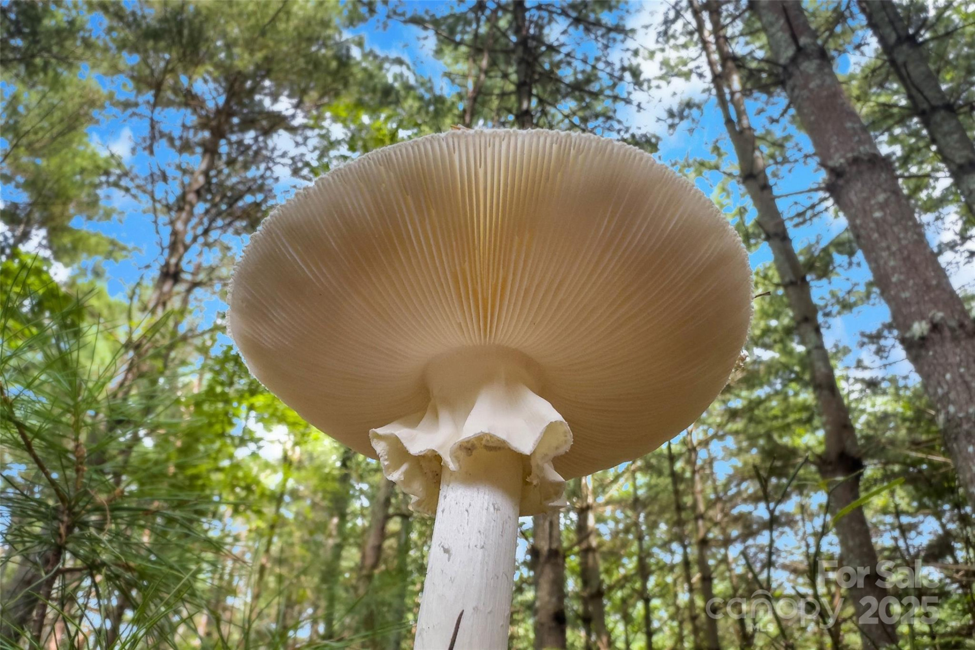 365 Peninsula Reserve Road #25 - Photo 22