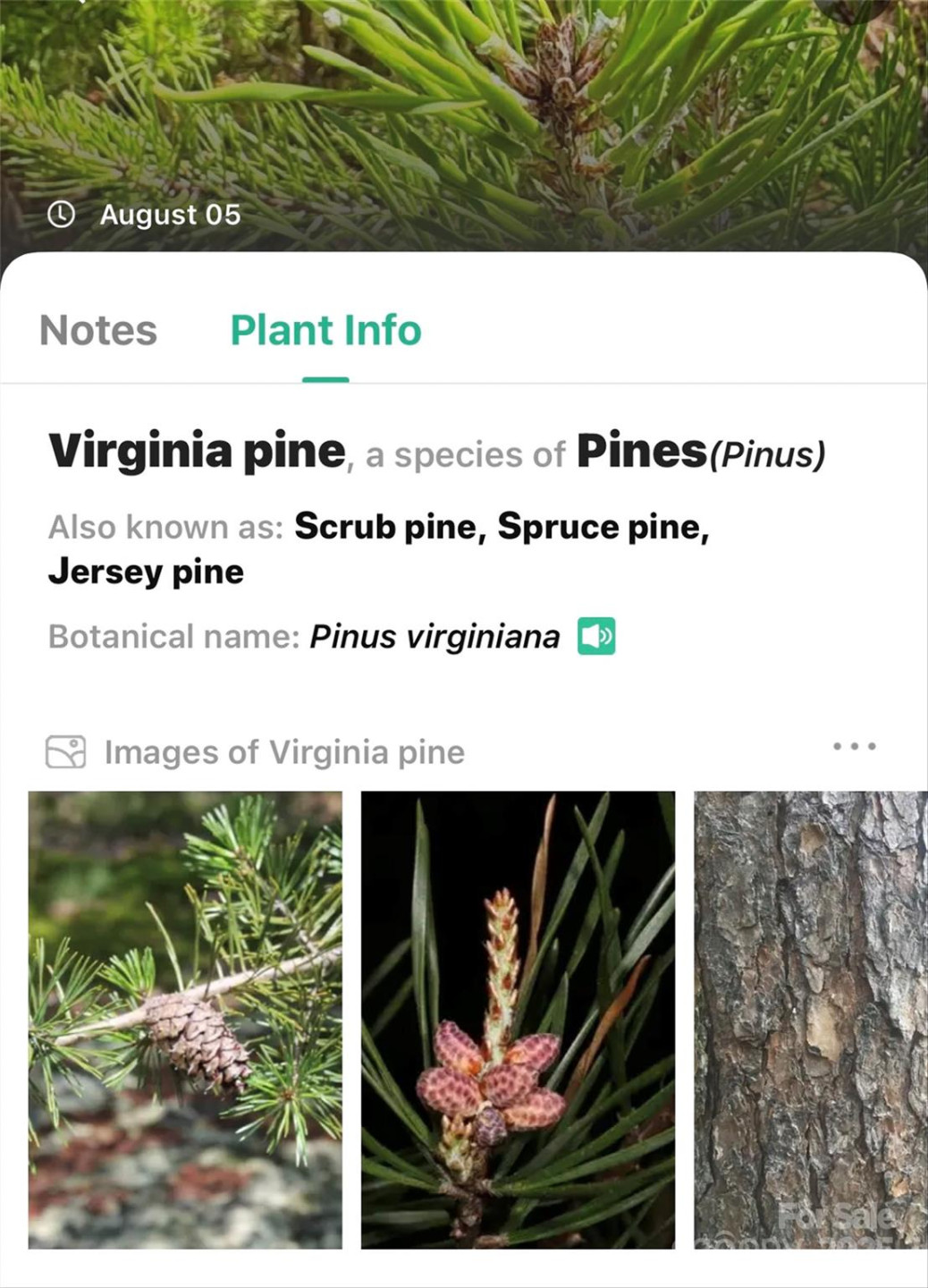 365 Peninsula Reserve Road #25 - Photo 23