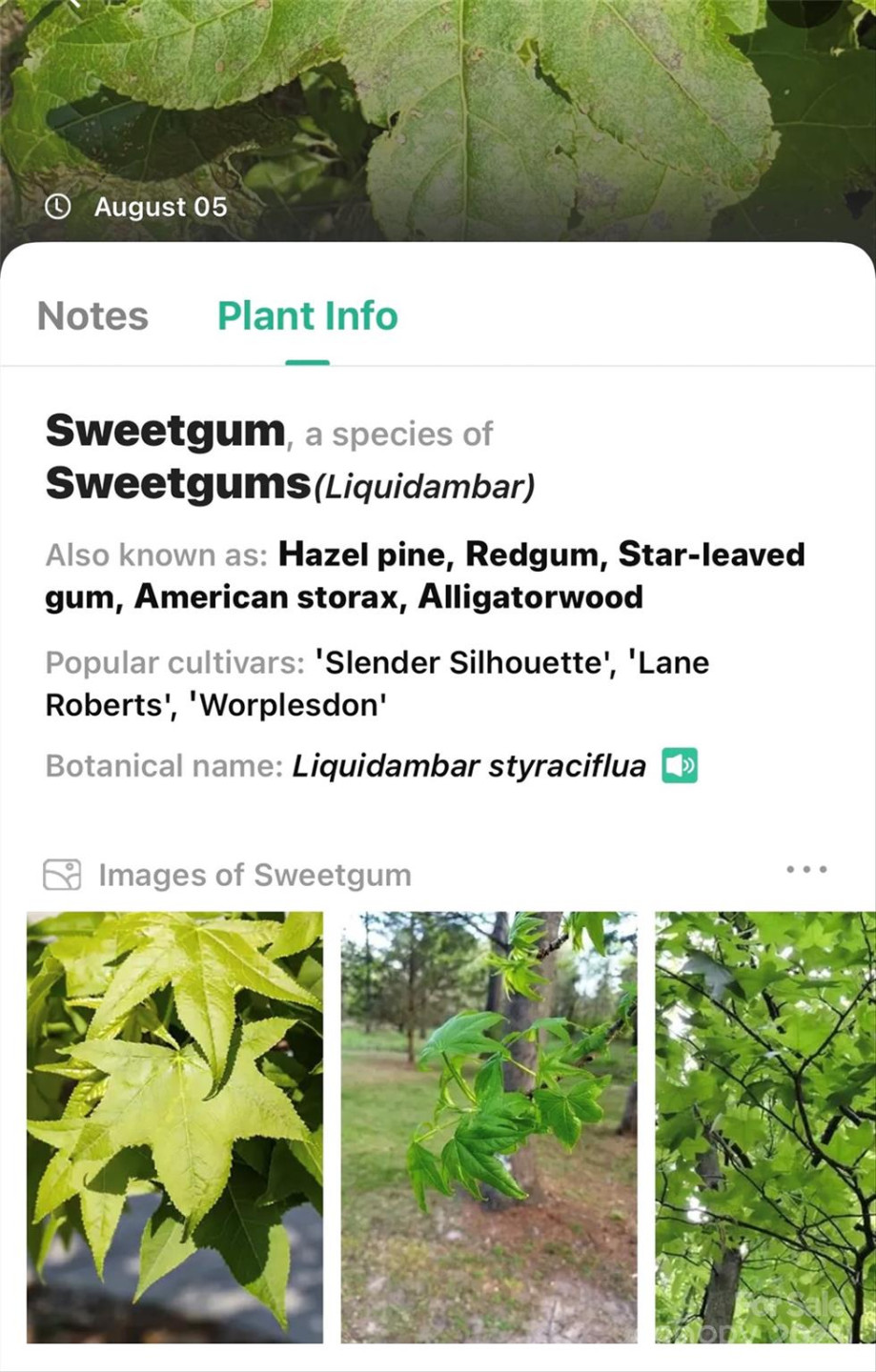 365 Peninsula Reserve Road #25 - Photo 24