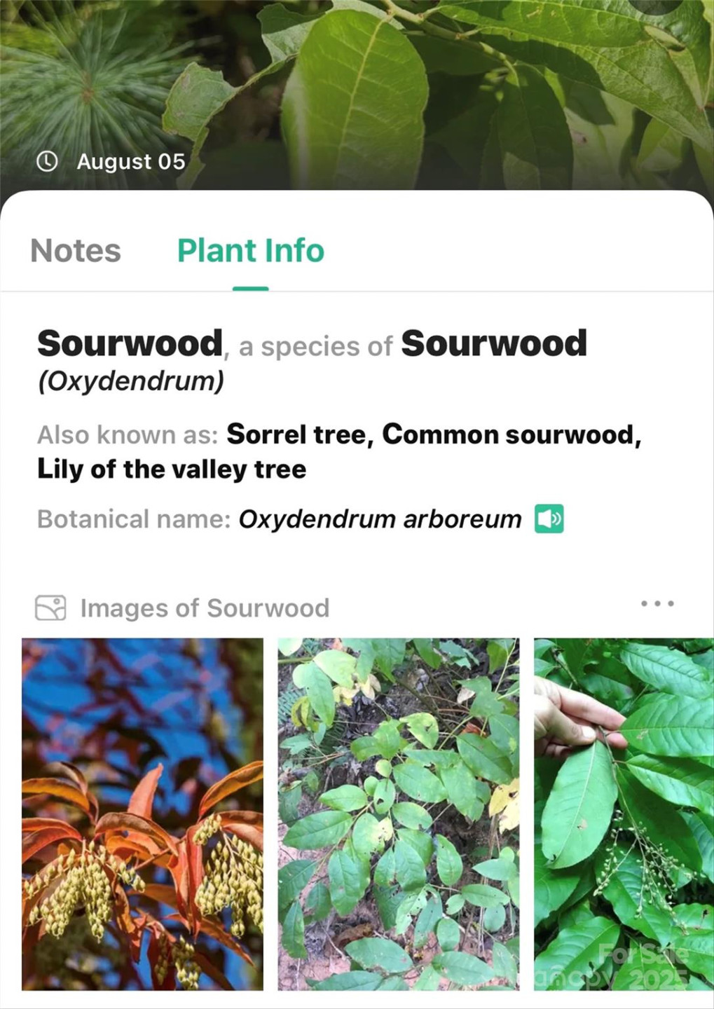 365 Peninsula Reserve Road #25 - Photo 25