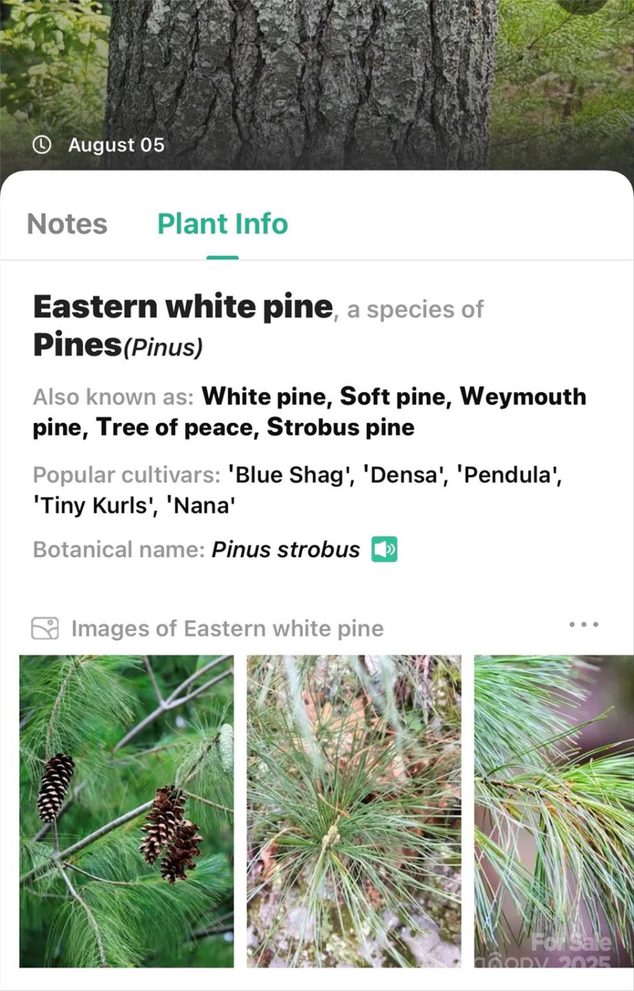 365 Peninsula Reserve Road #25 - Photo 26