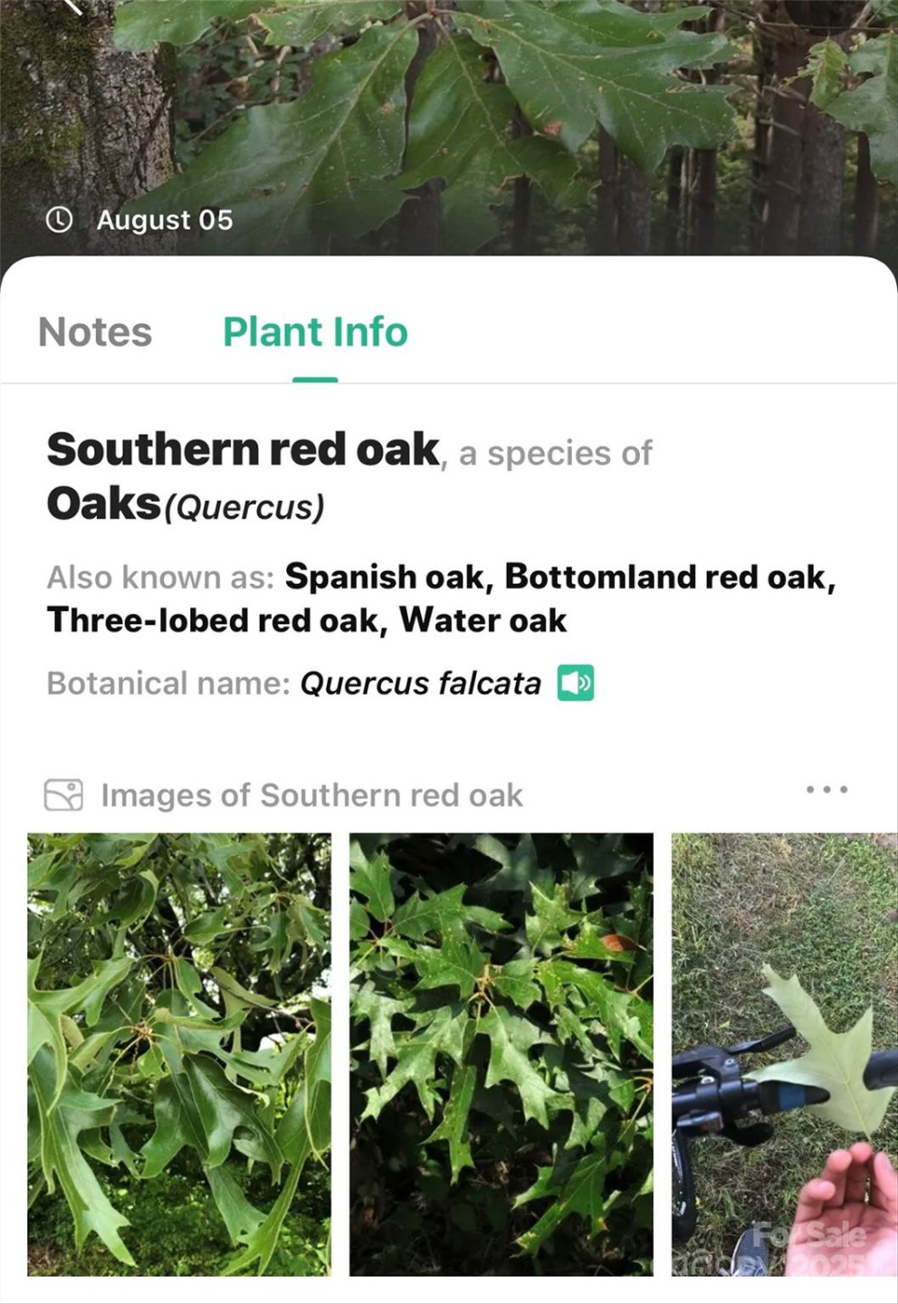 365 Peninsula Reserve Road #25 - Photo 27