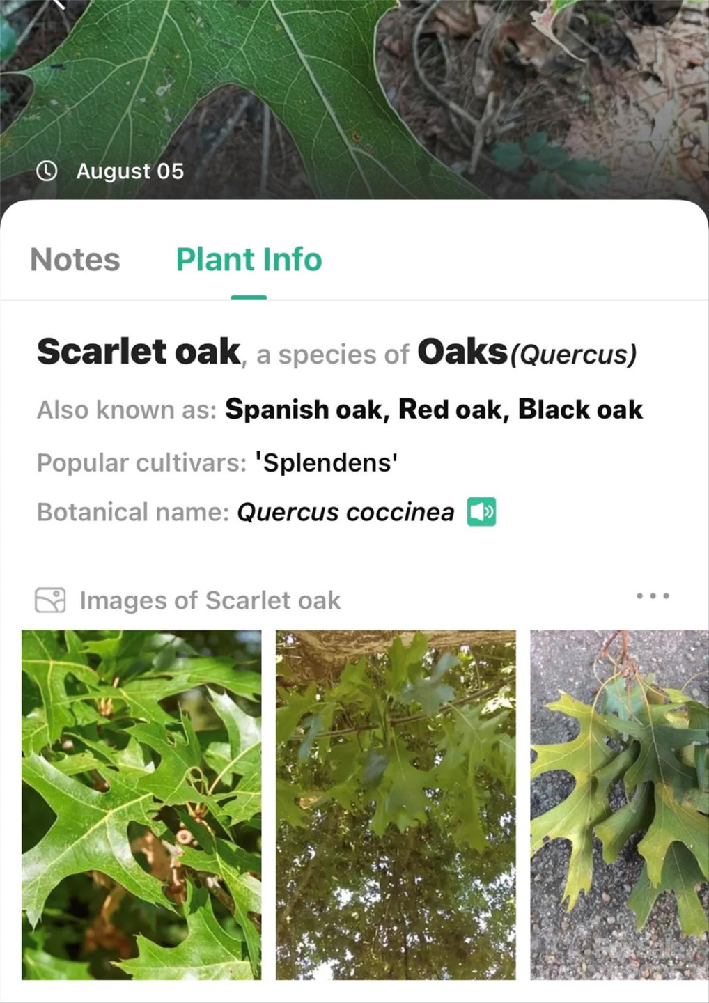 365 Peninsula Reserve Road #25 - Photo 28