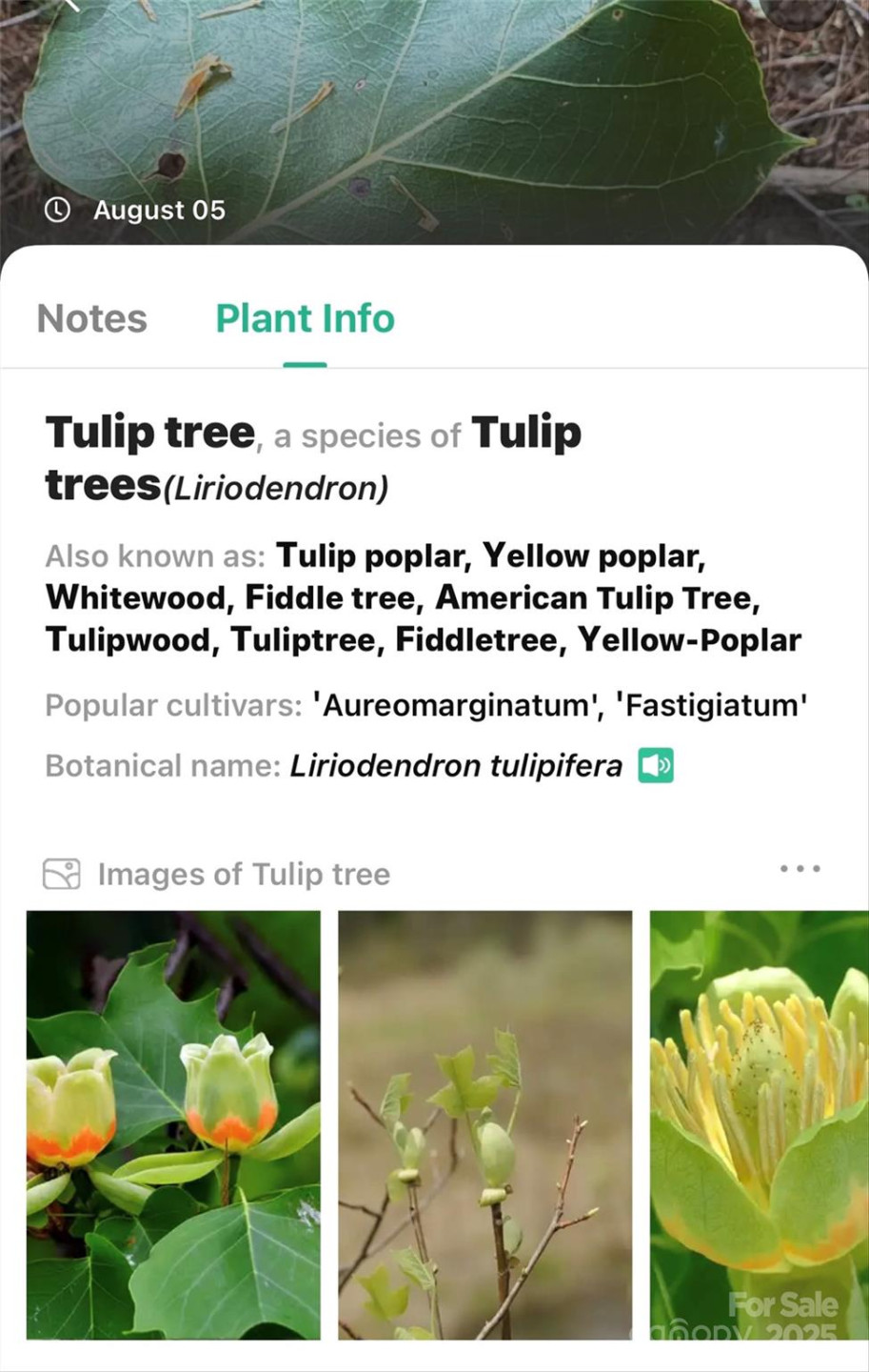365 Peninsula Reserve Road #25 - Photo 29