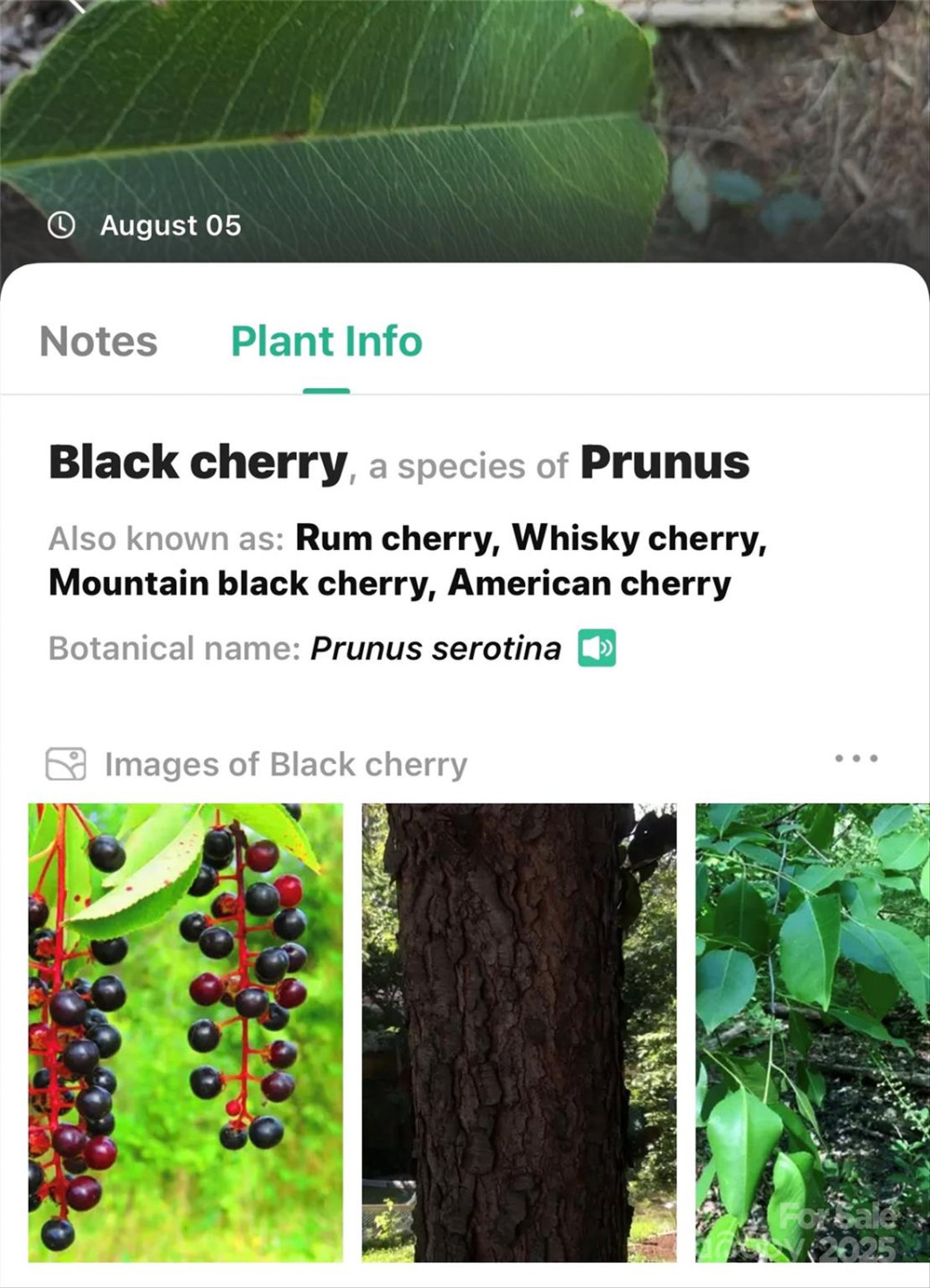 365 Peninsula Reserve Road #25 - Photo 30
